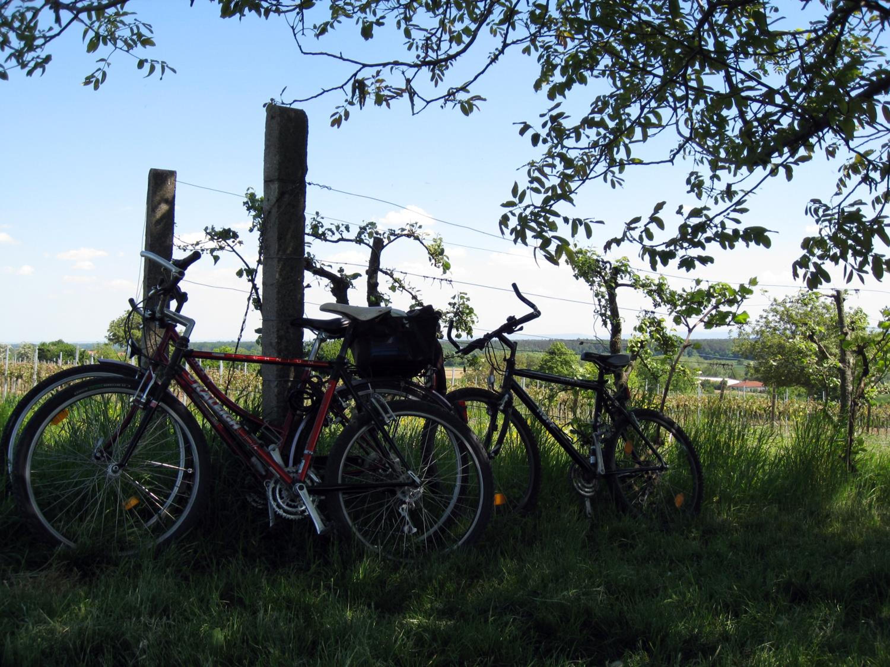 Ferienwohnungen Eichenhof