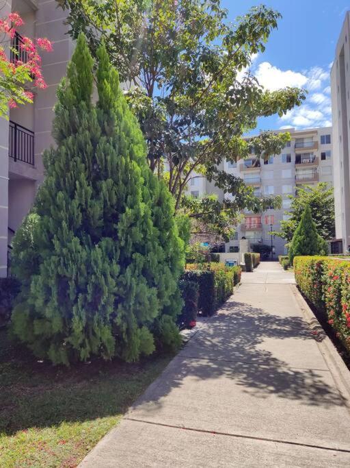 Apartamento en Hacienda Peñalisa Ceiba, Sol, Piscina y descanso