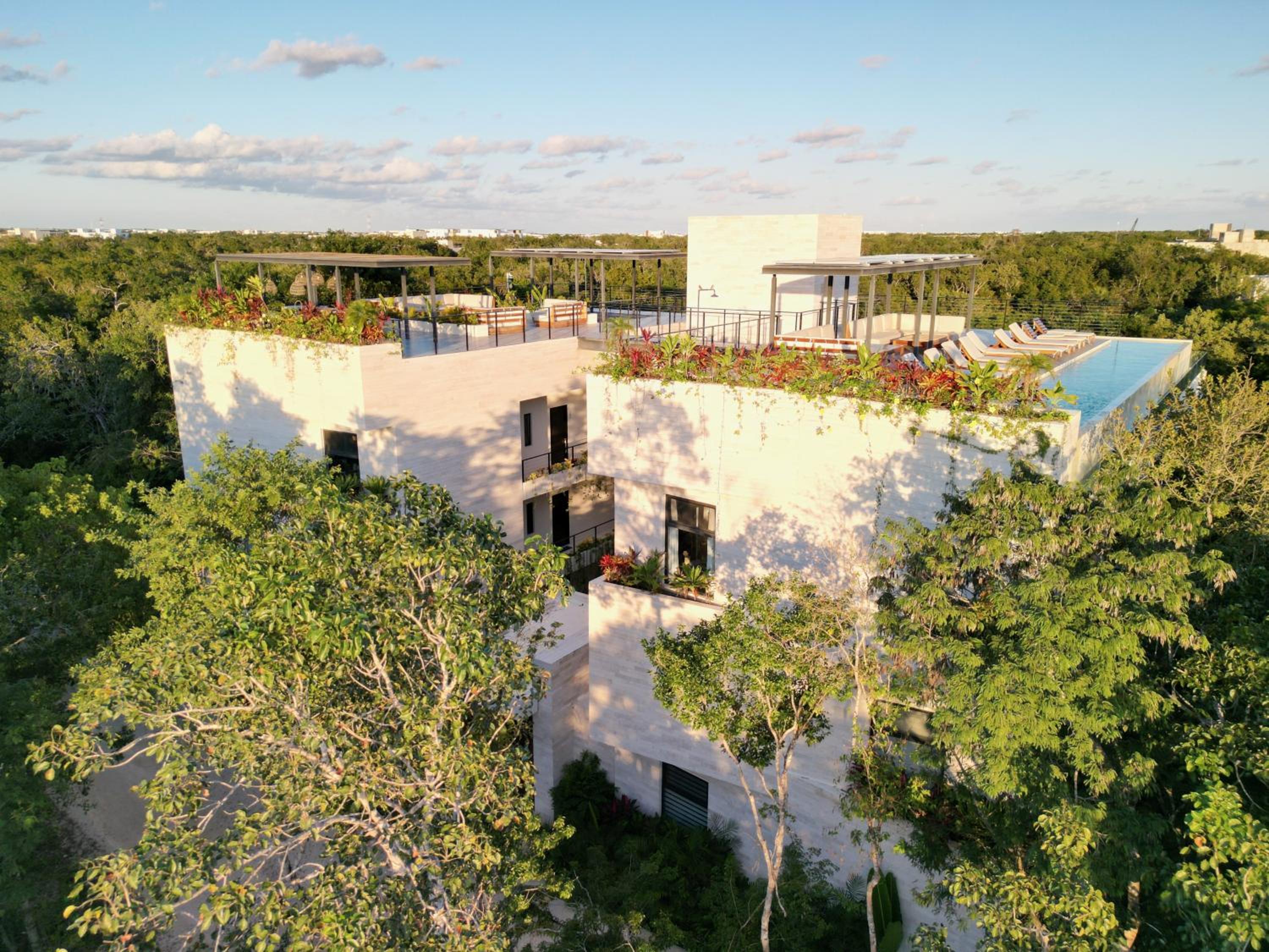 roof