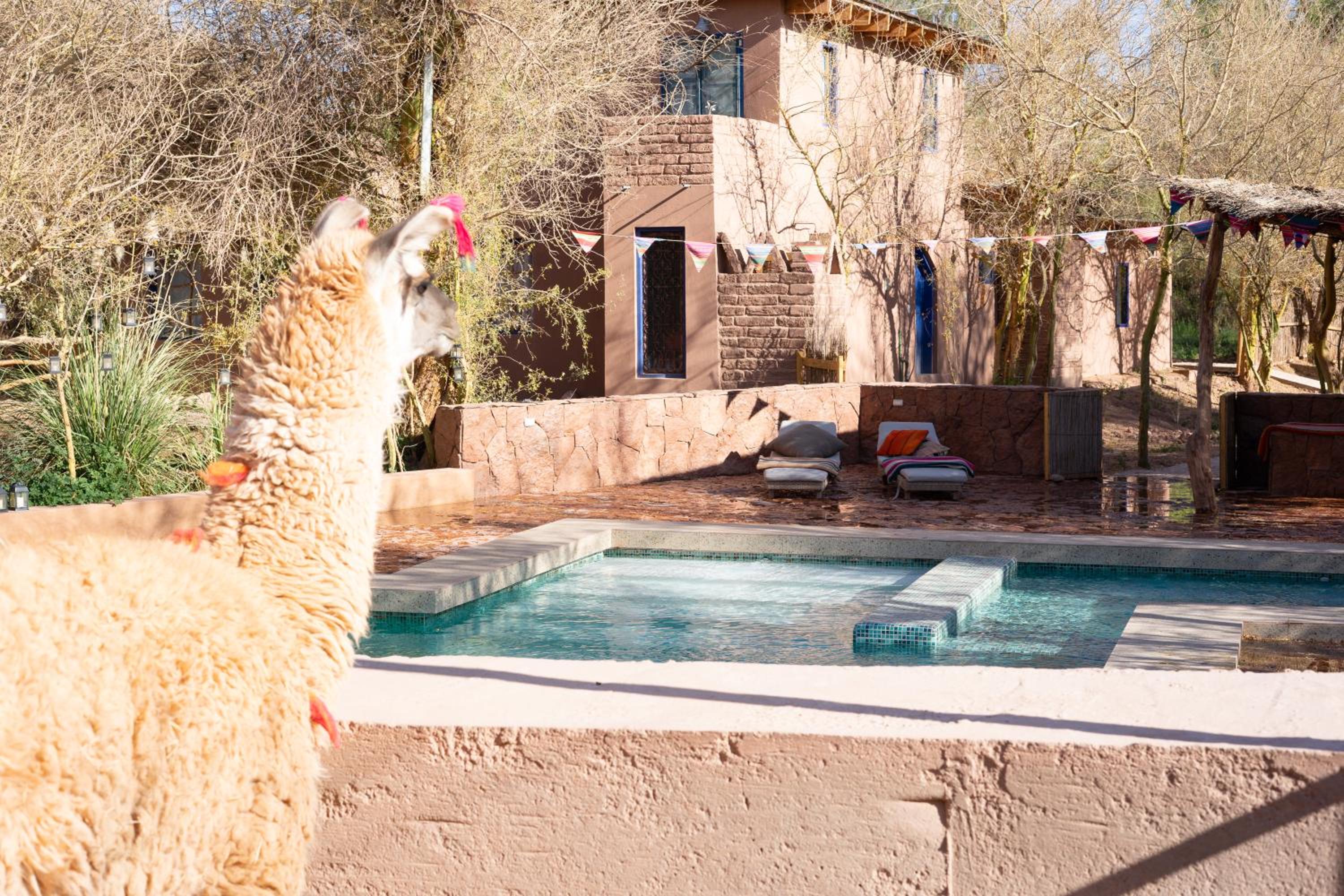 Ckoi Atacama Lodge