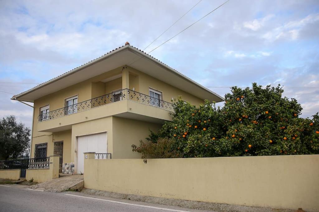 Casa da Terra