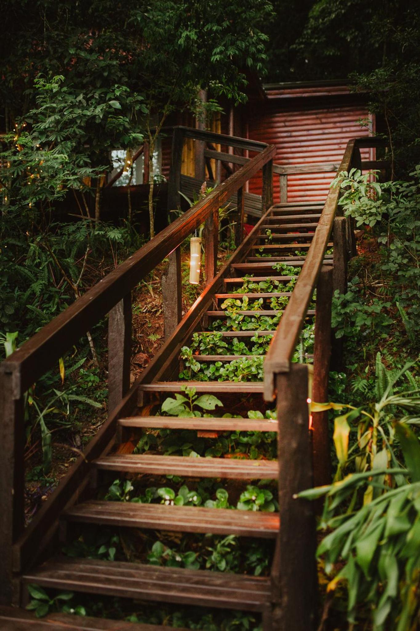 Hotel Cabañas Complejo Ysyry Misiones