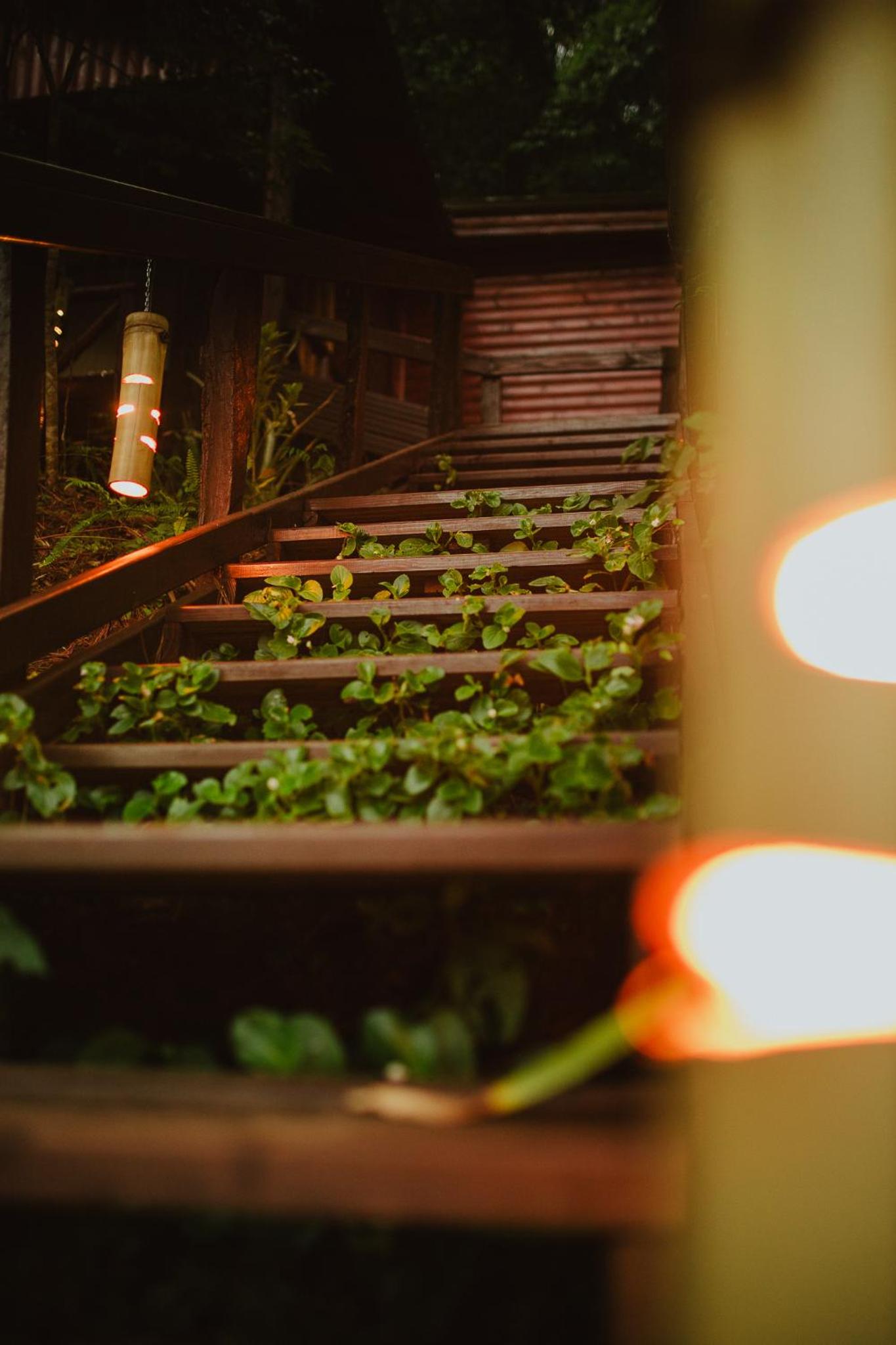 Hotel Cabañas Complejo Ysyry Misiones