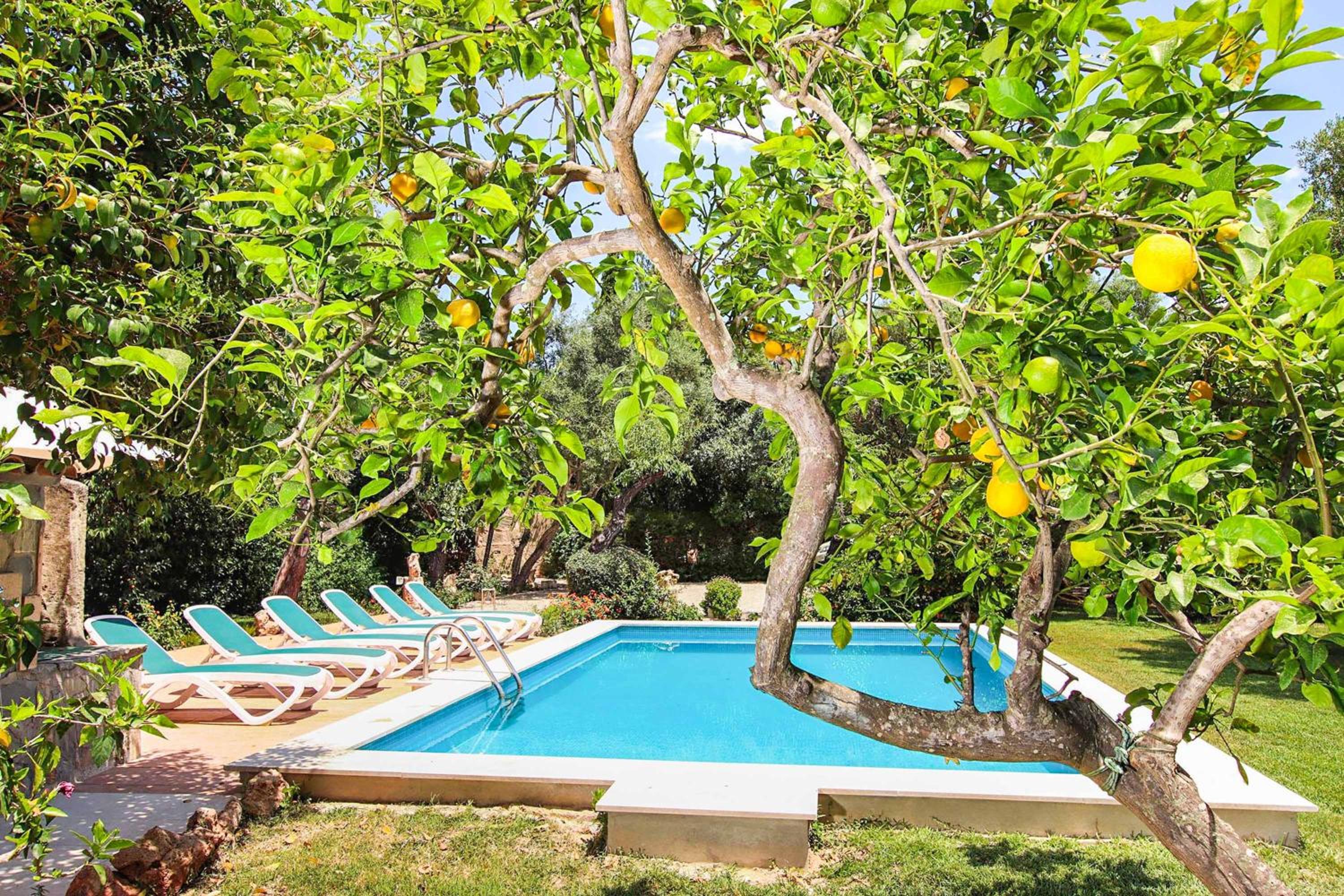 Villa Punxa