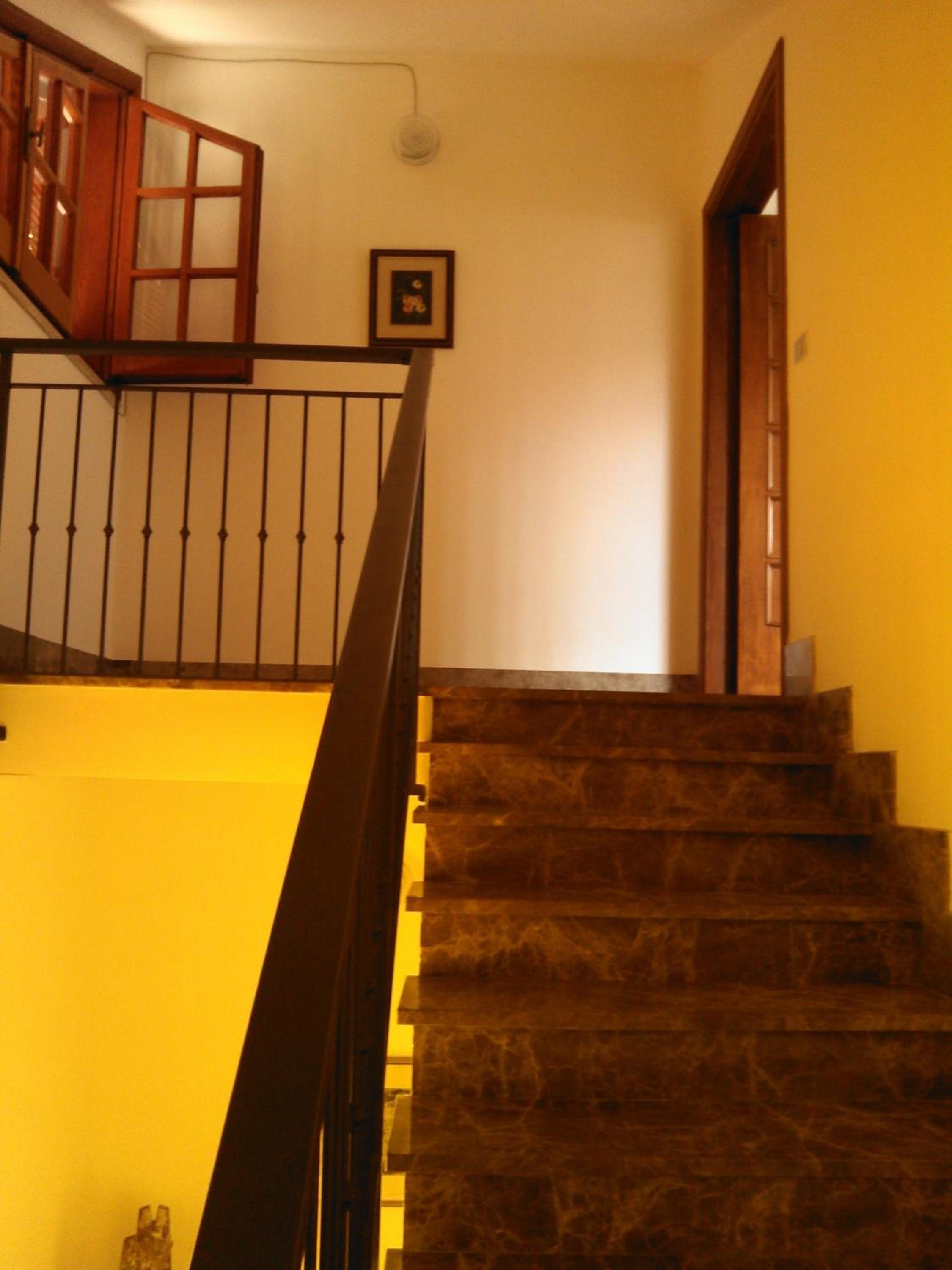 Photo 50
