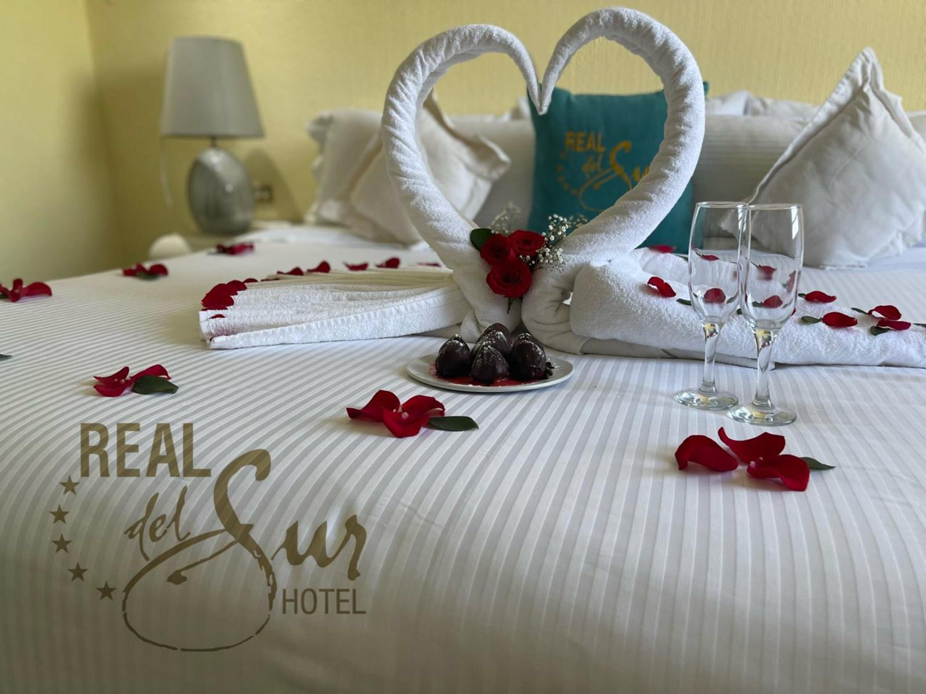 Hotel Real del Sur photo 5