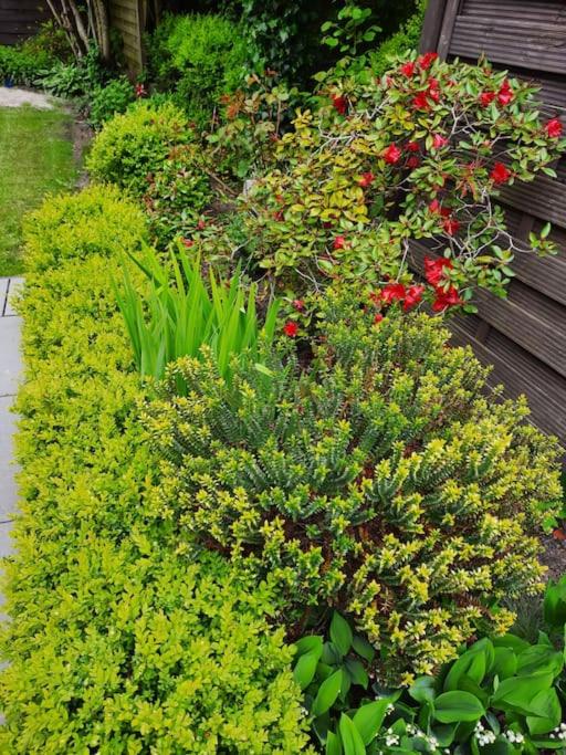 Urlaubsdomizil Norden/Norddeich, mit Garten