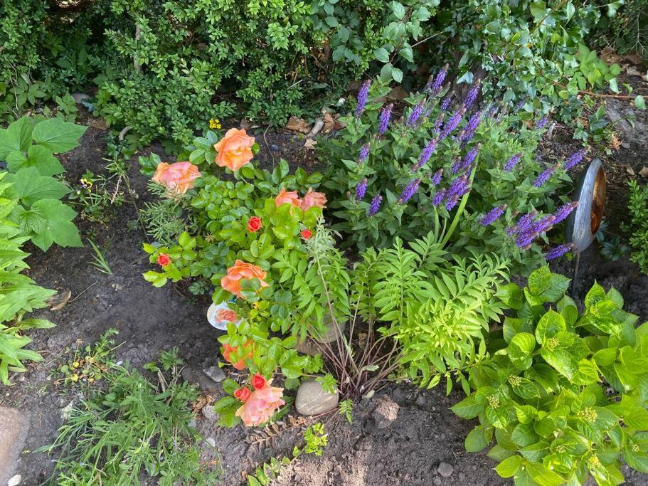 Urlaubsdomizil Norden/Norddeich, mit Garten