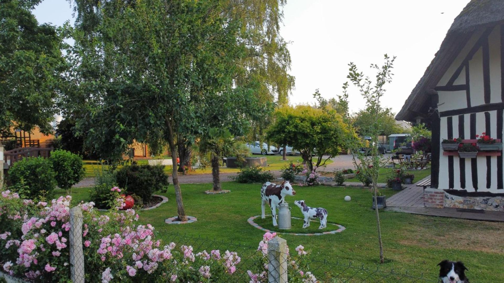 Photo 12