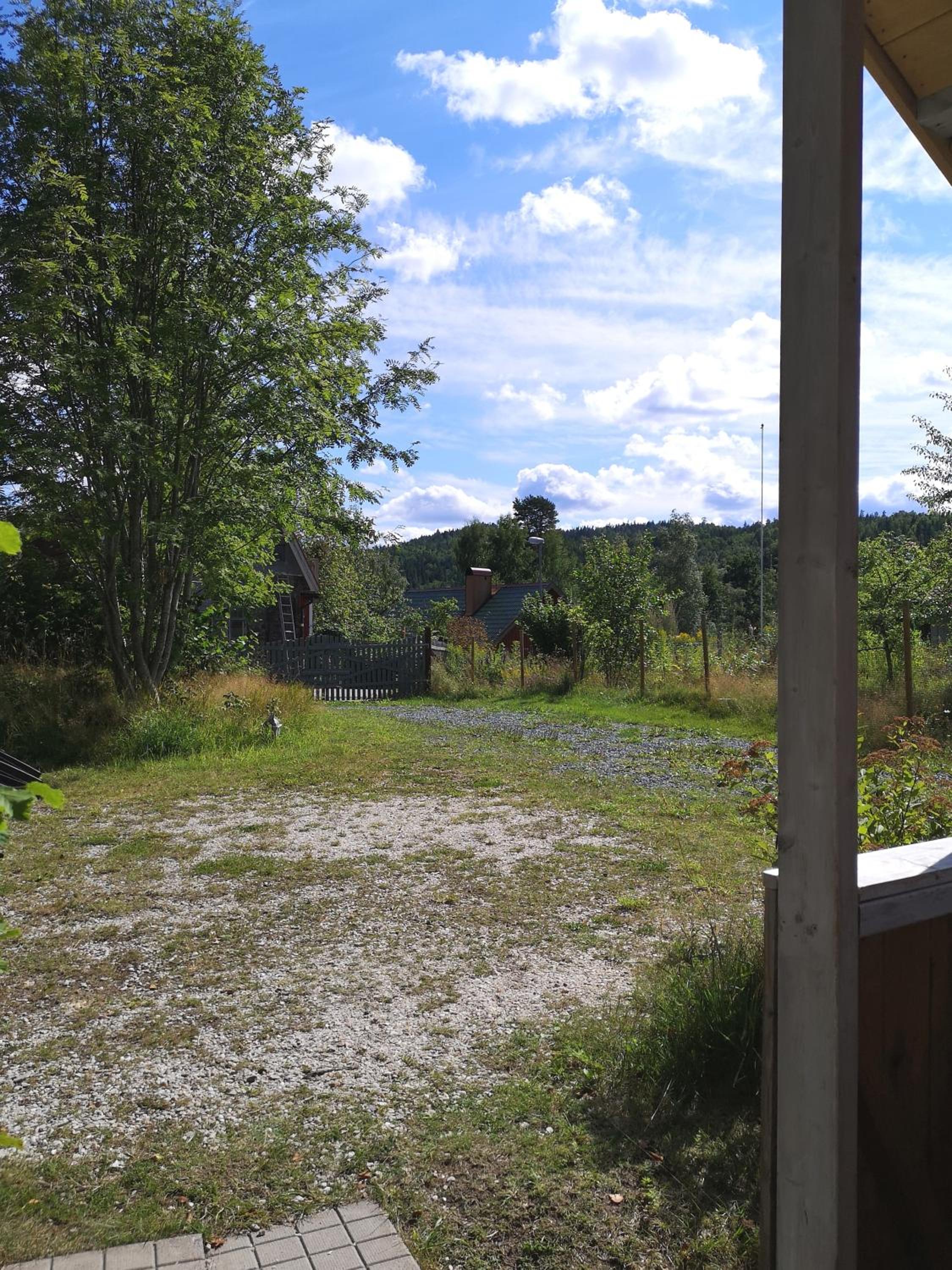 Photo 31
