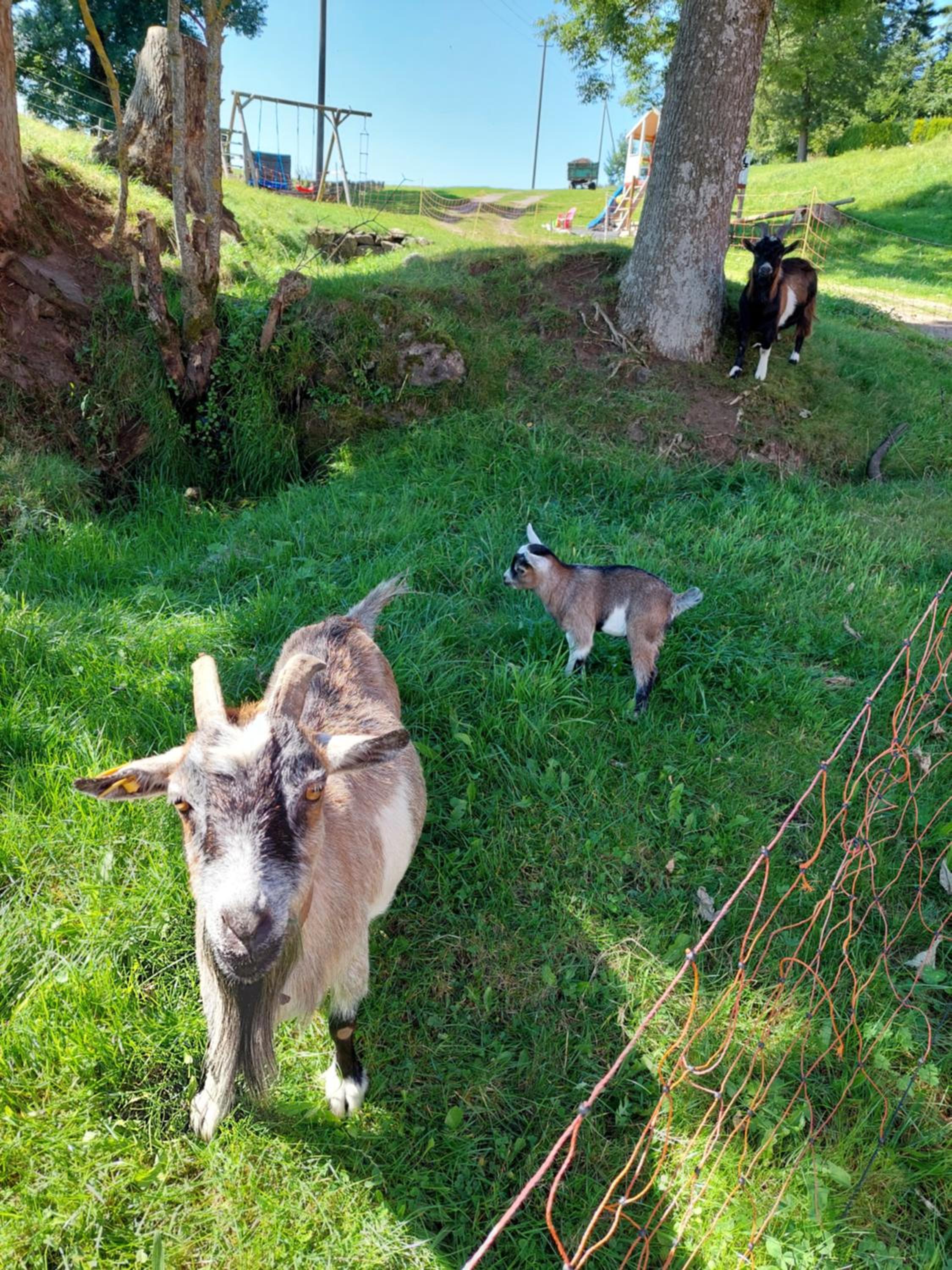 Urlaub an der Grenze