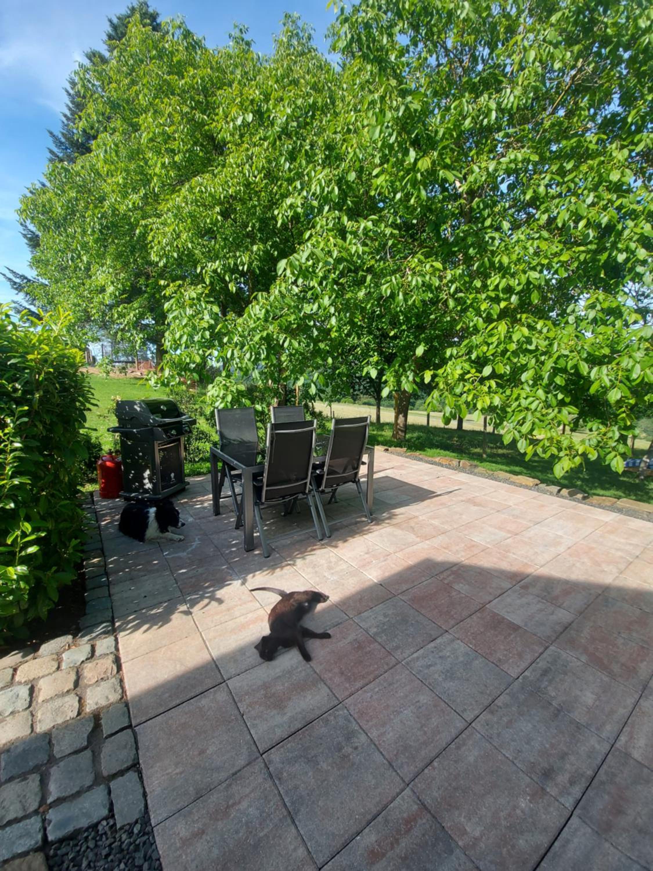 Ferienhaus Berghof Usch - Property Image 23