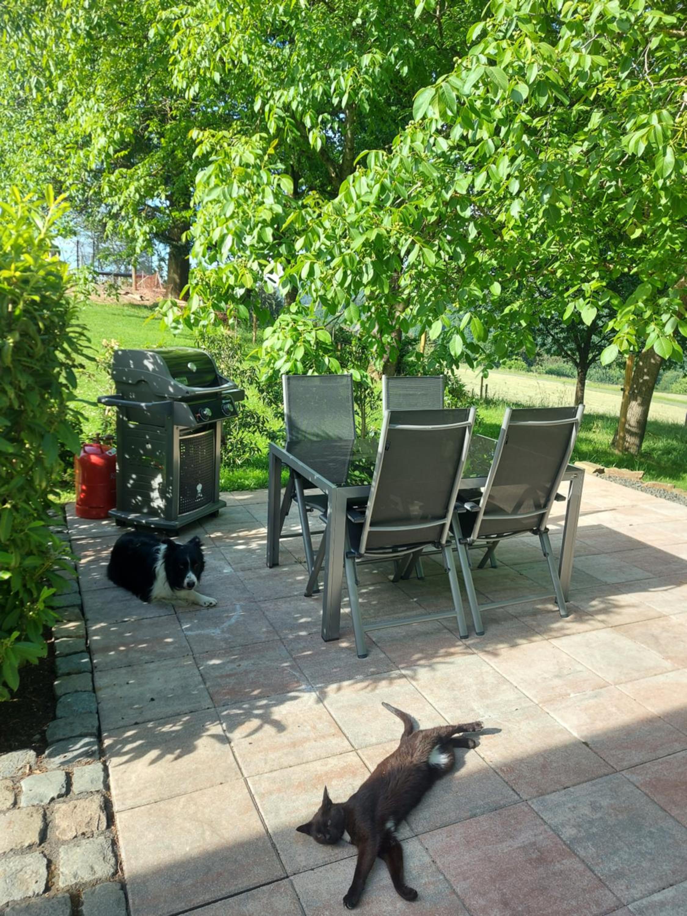 Ferienhaus Berghof Usch - Property Image 26