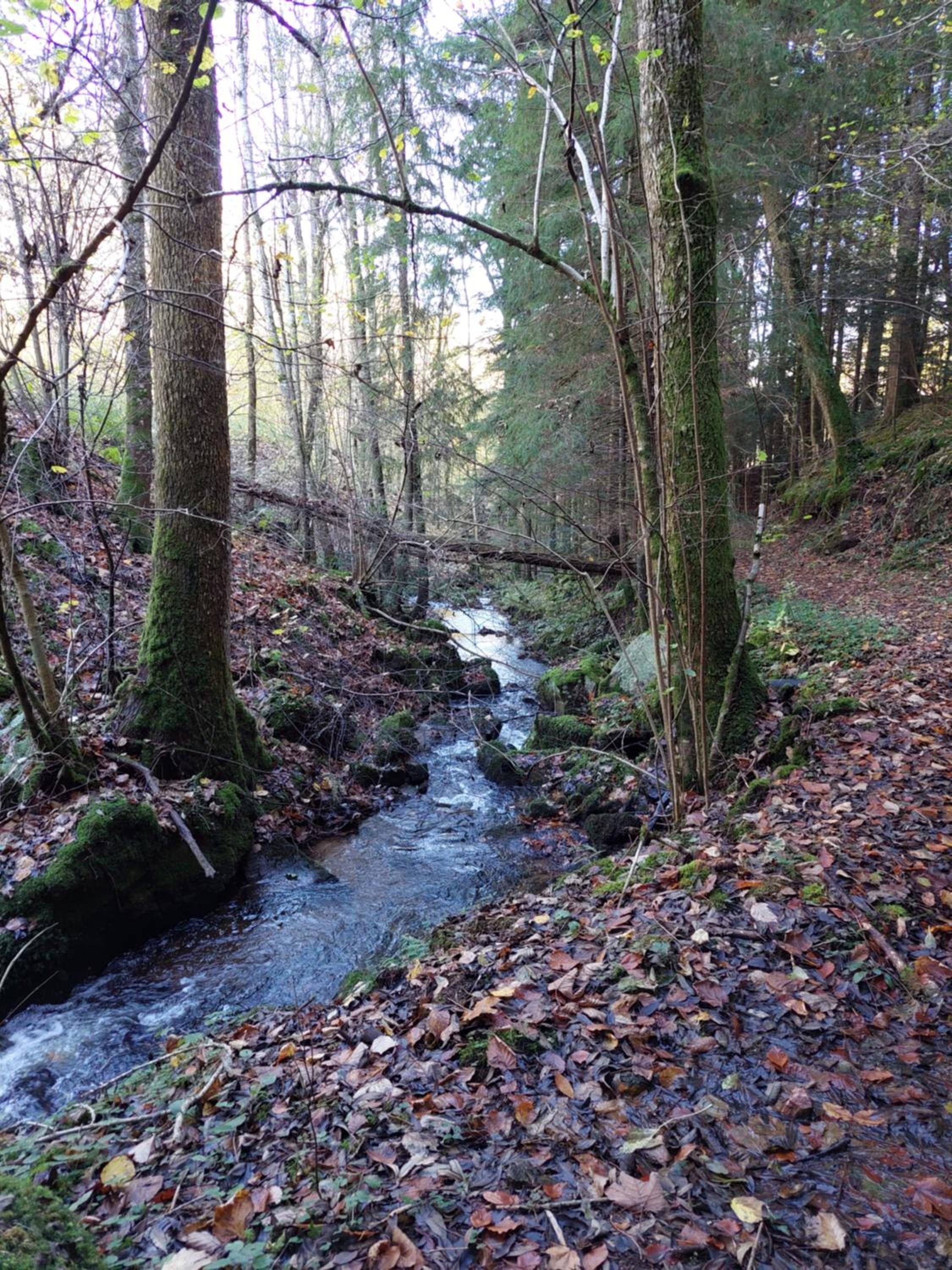 Urlaub an der Grenze