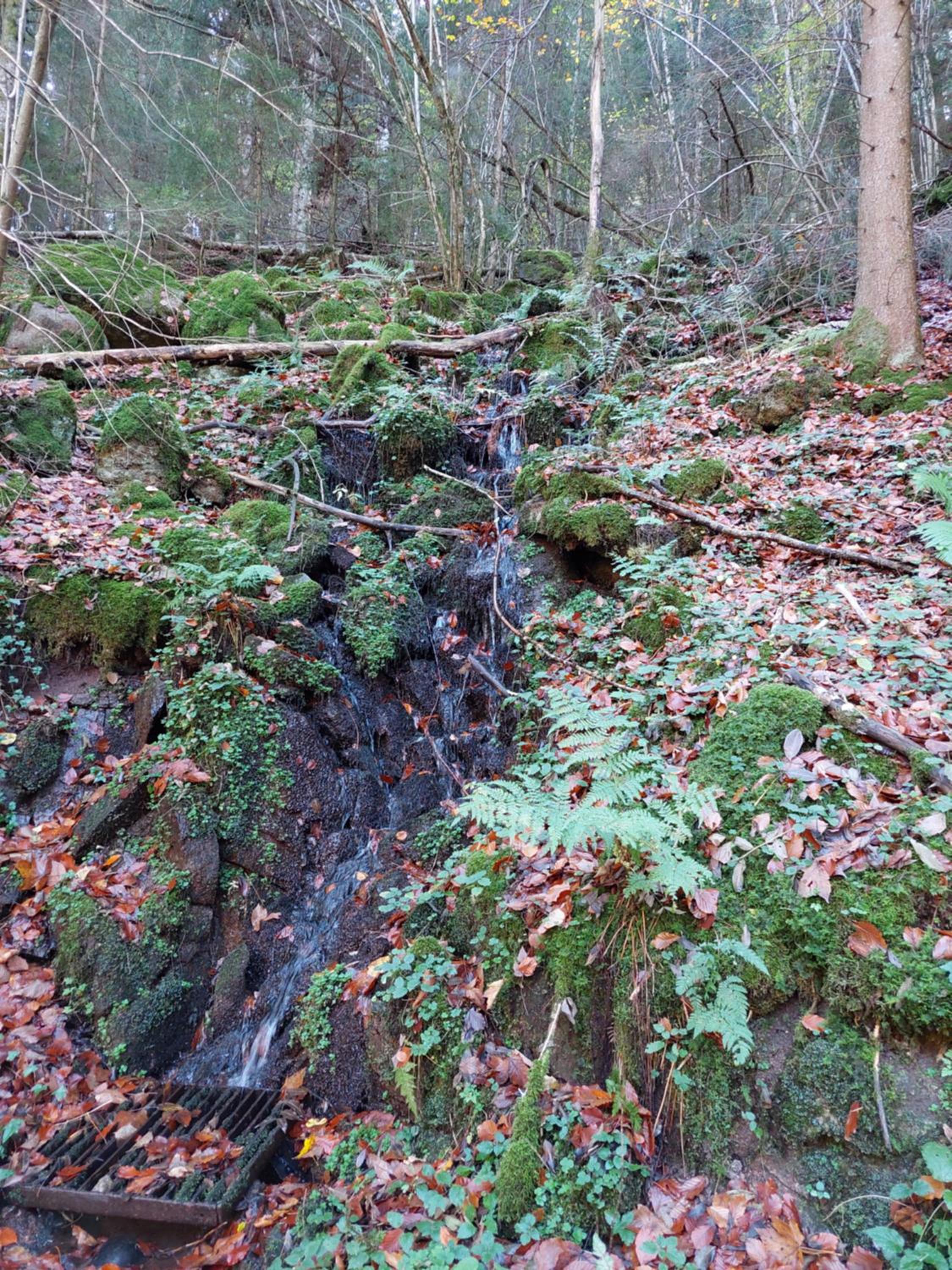 Urlaub an der Grenze
