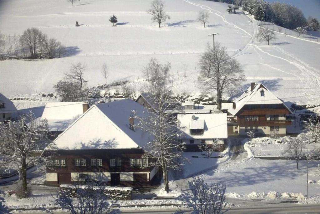Oberbauernhof - Wohnung Am Garten -- Moderne FeWo im schönen Schwarzwaldhaus
