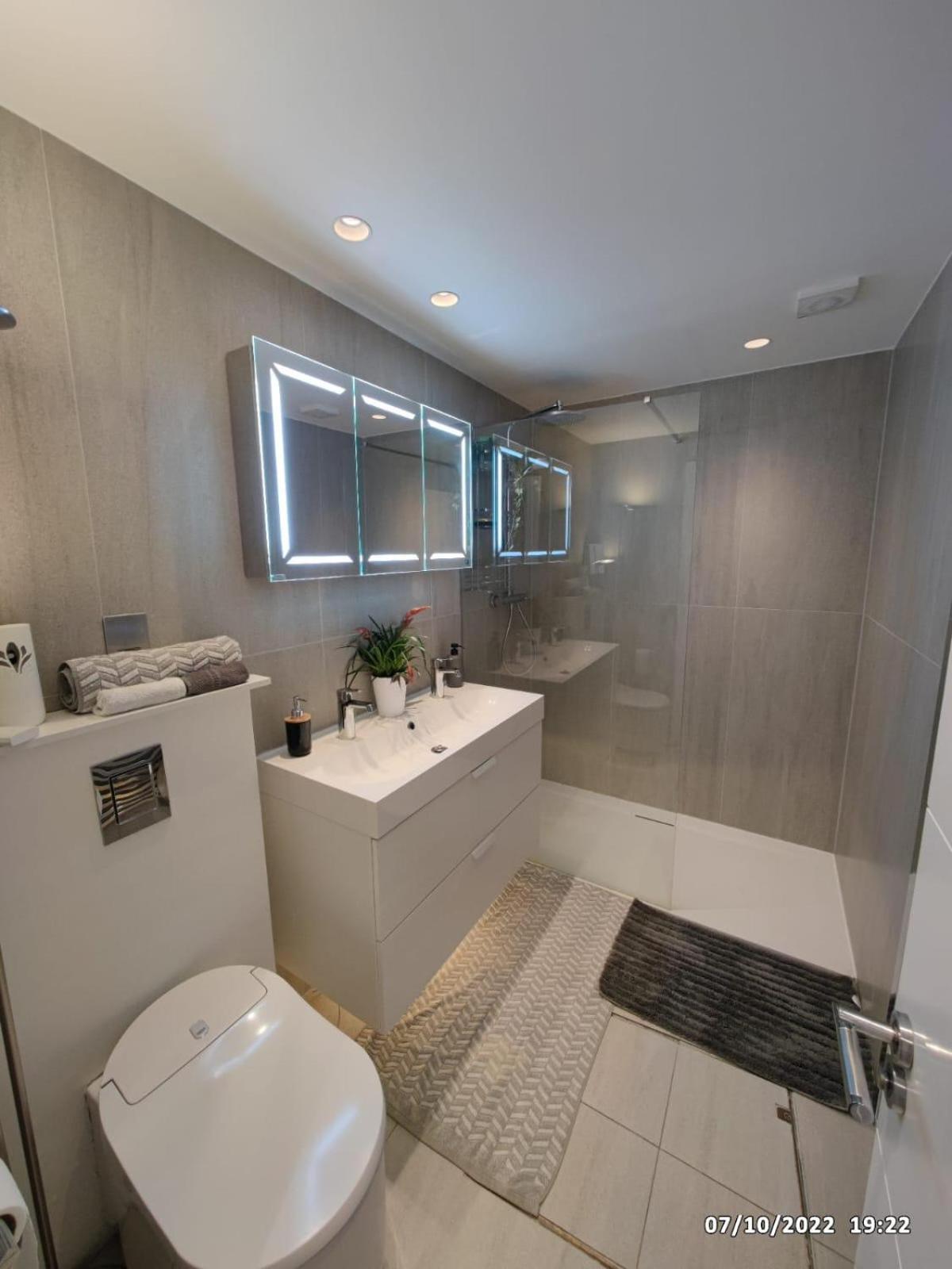 Luxury Apartment South Kensington view 3