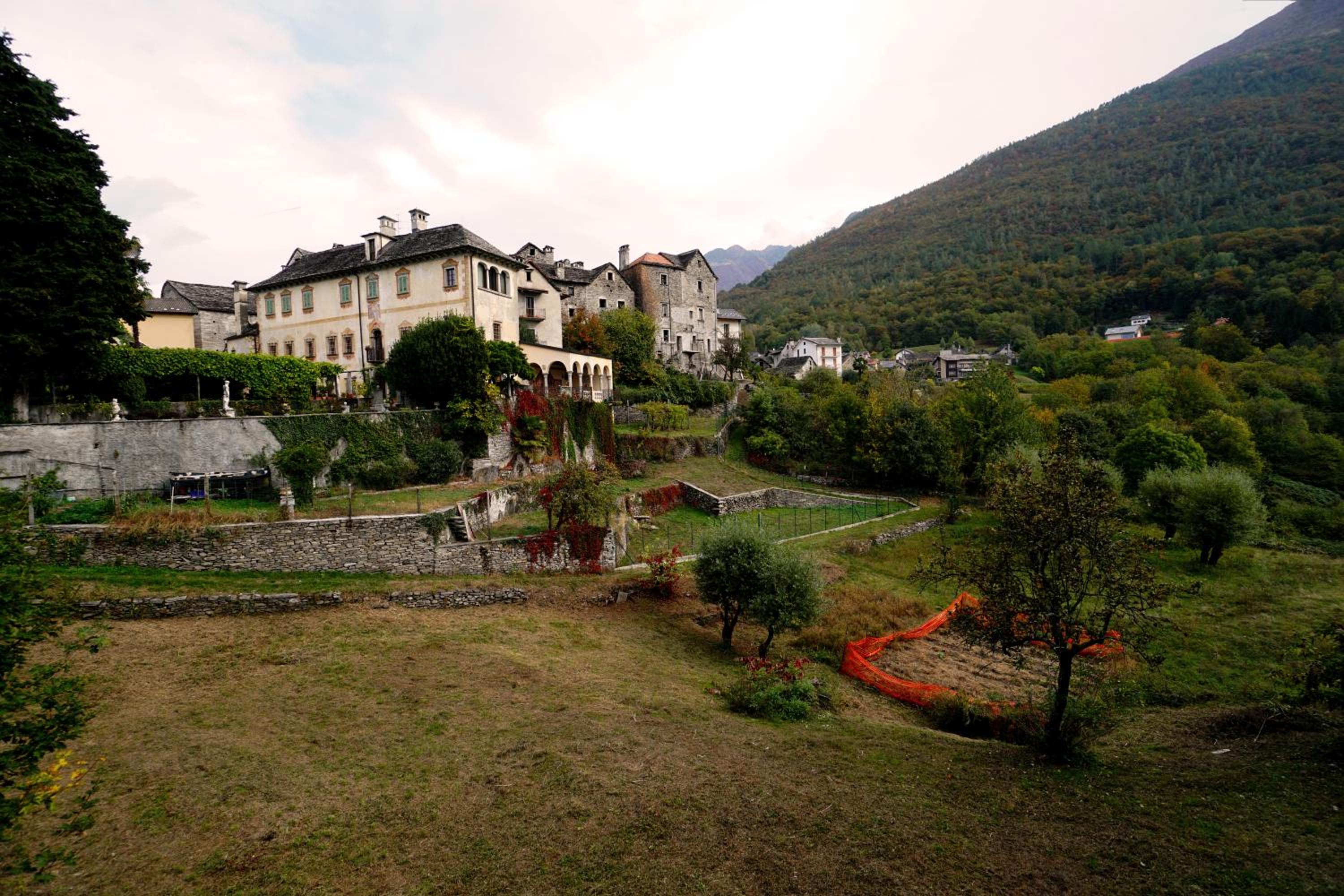 Photo 11