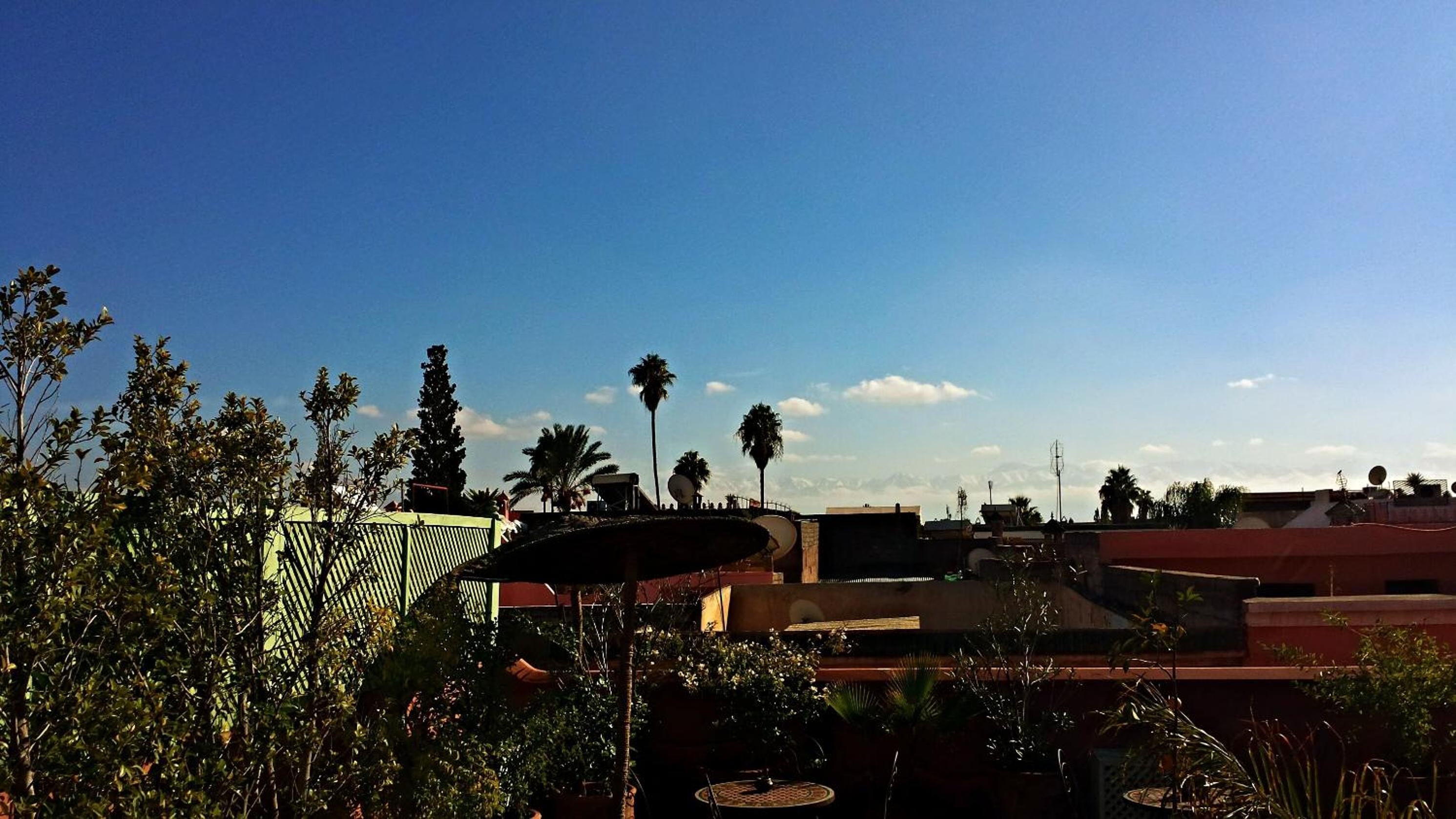 roof