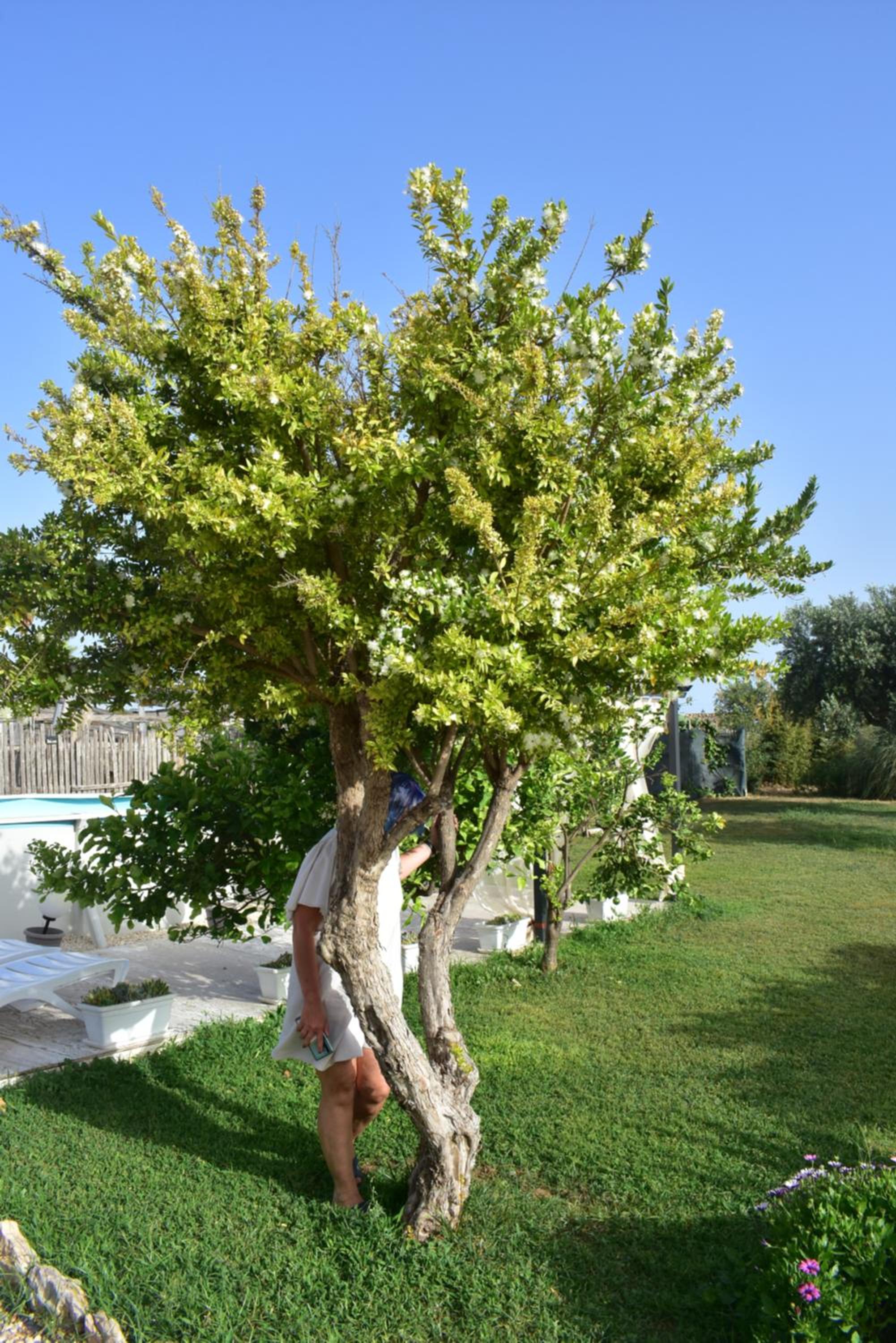 Villa Giummarito B & B