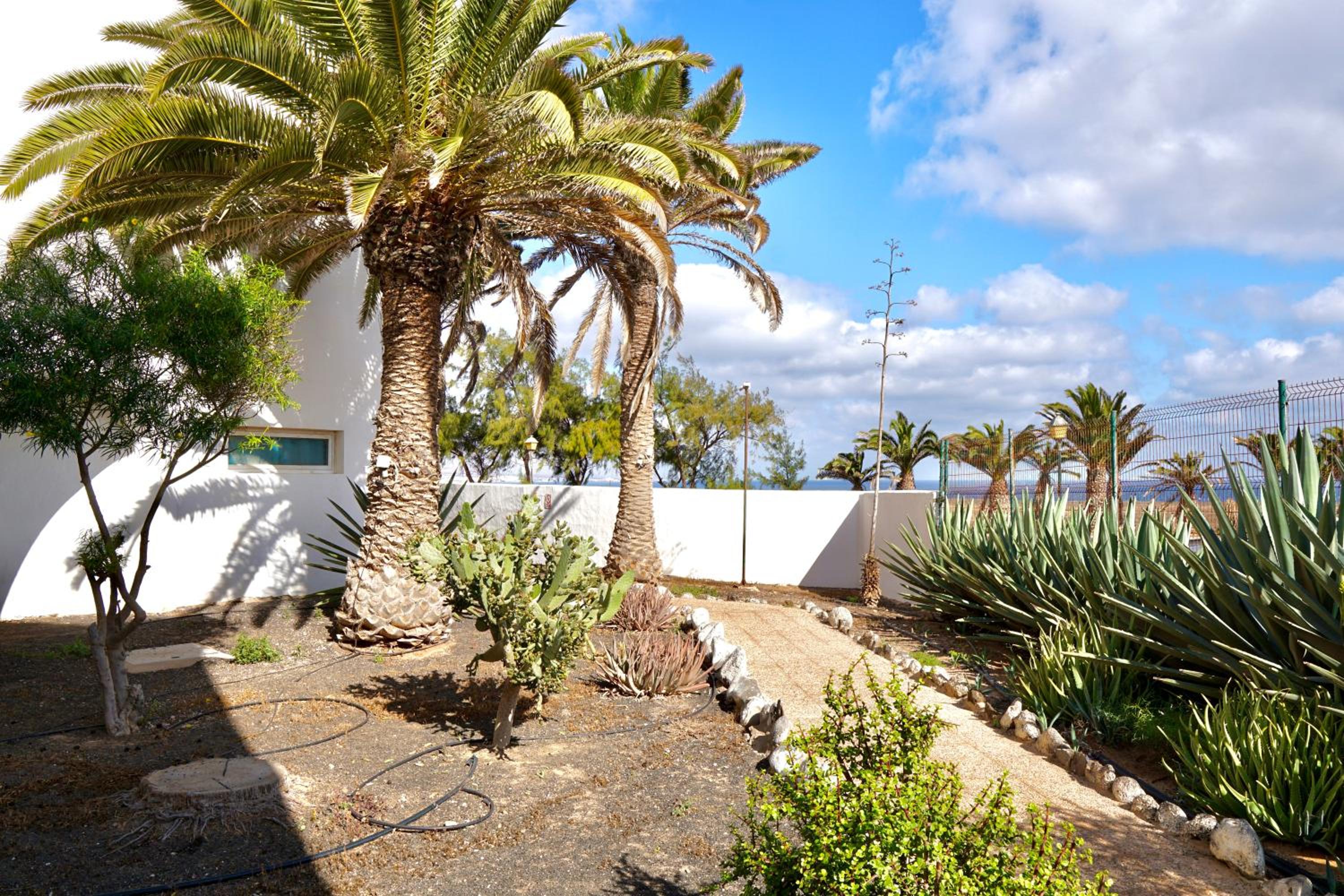 Casita perla blanca