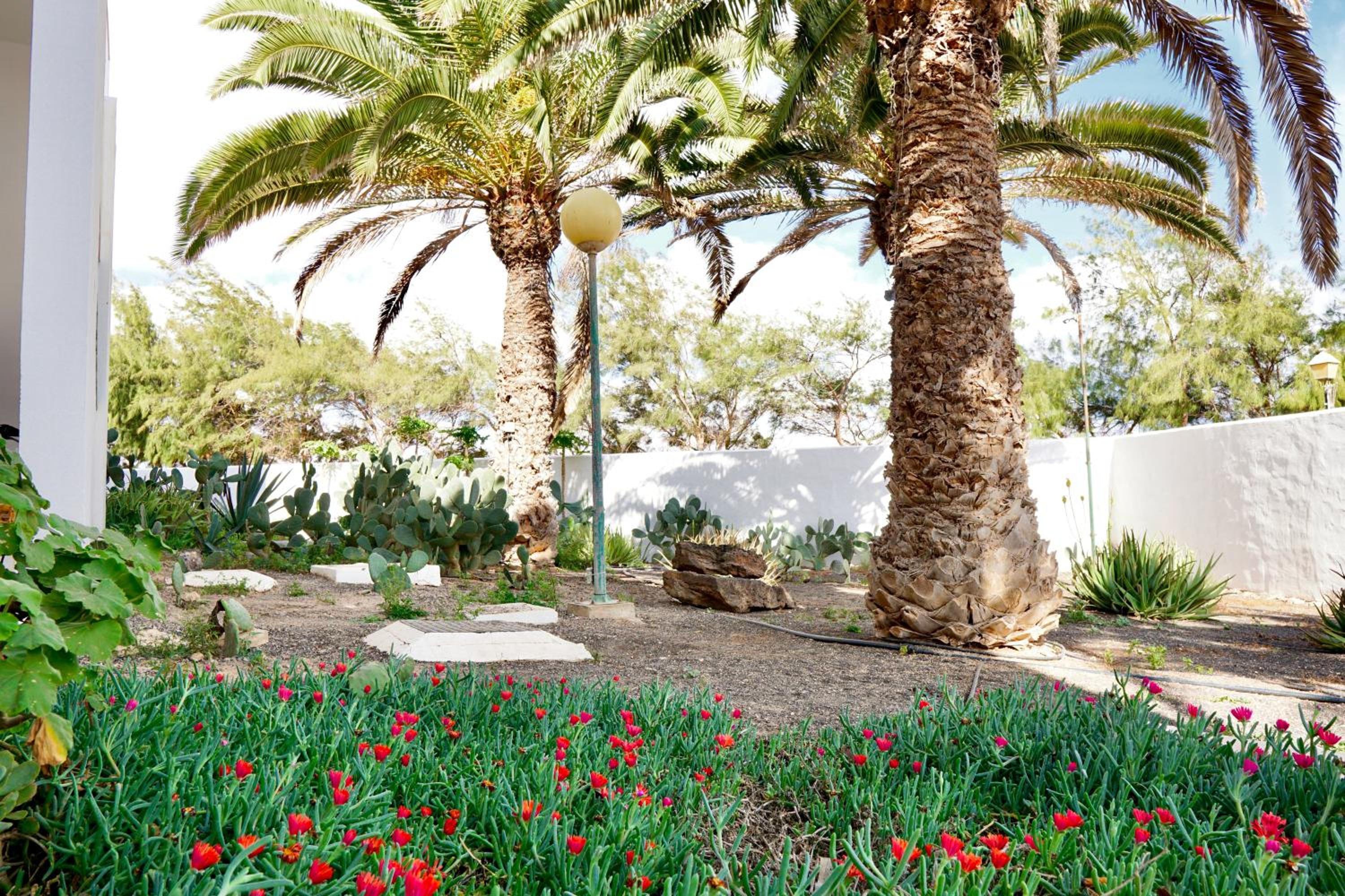 Casita perla blanca