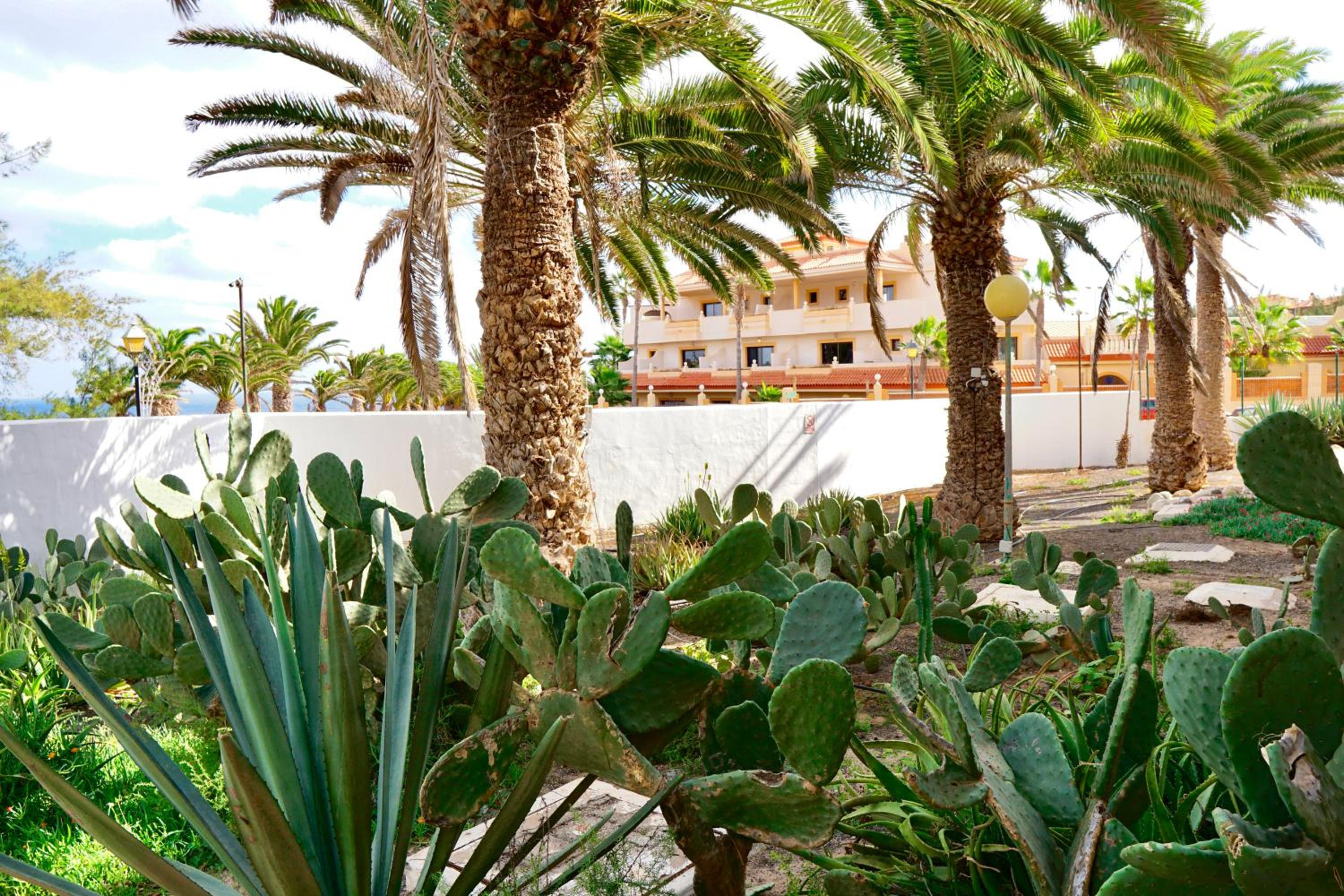 Casita perla blanca