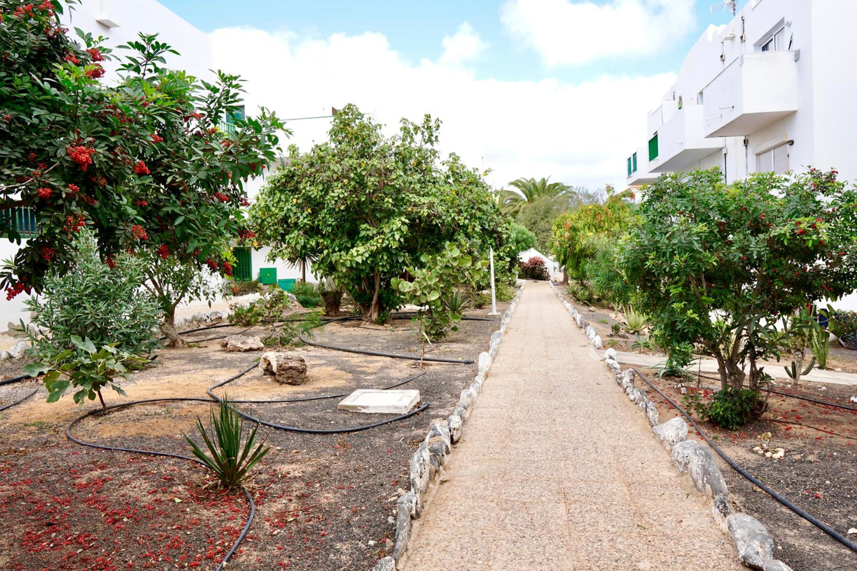 Casita perla blanca