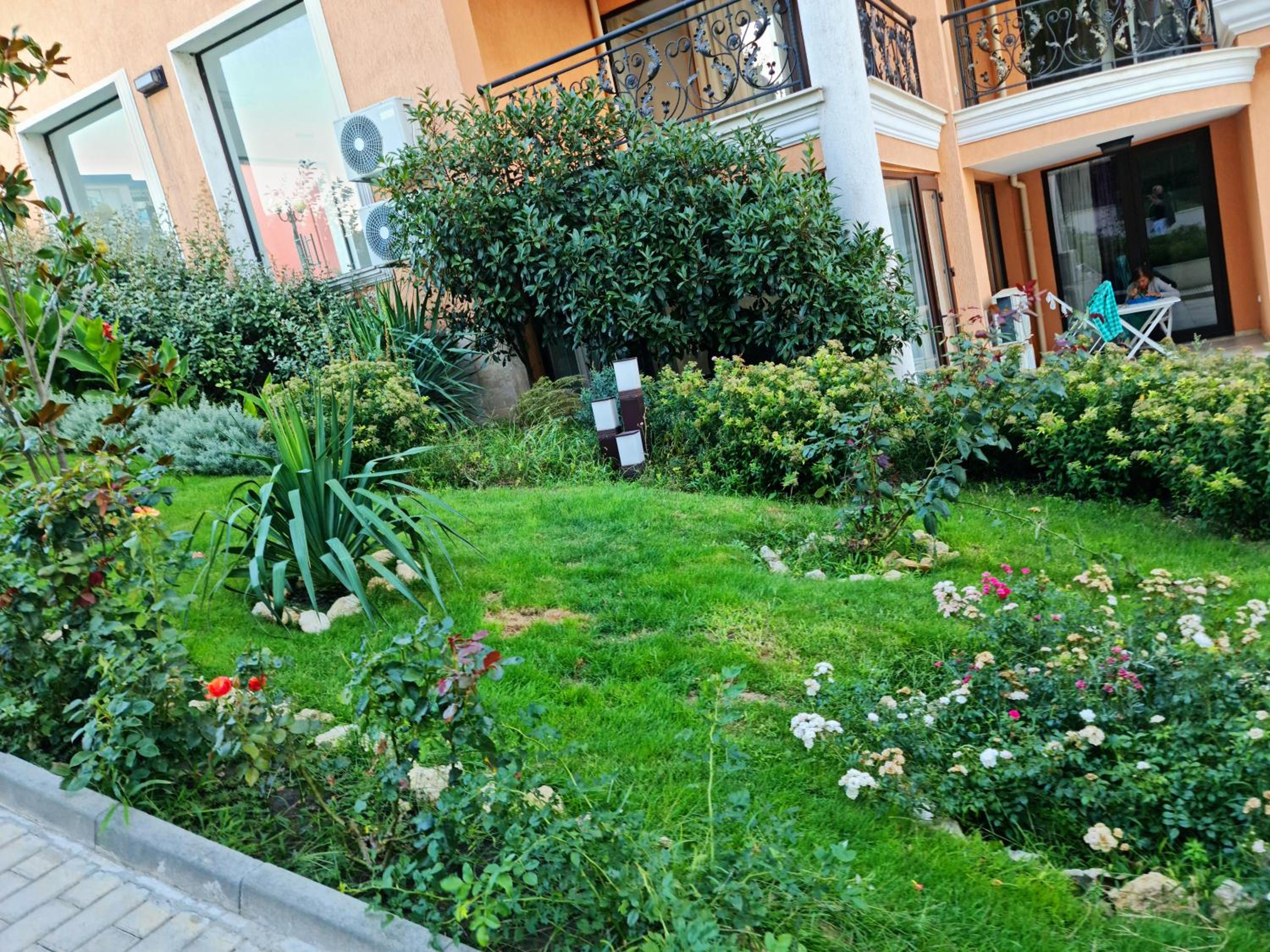 Photo 11
