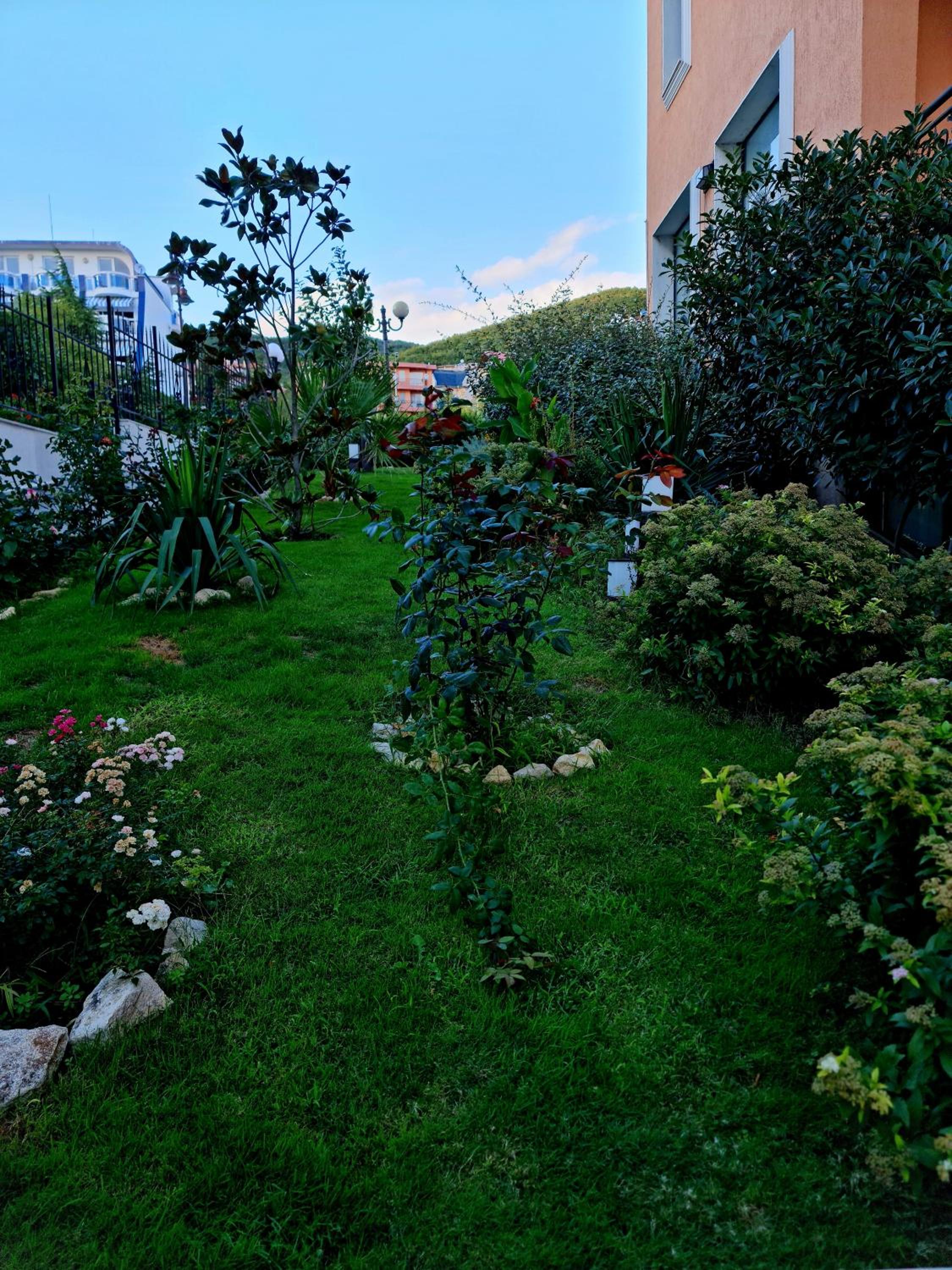 Photo 12