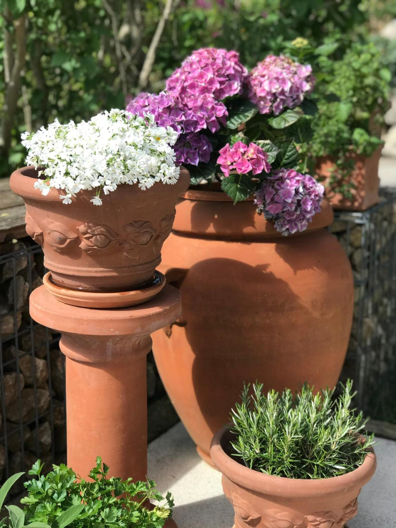 Architektenhaus mit Bergblick 220qm+Terasse/Garten