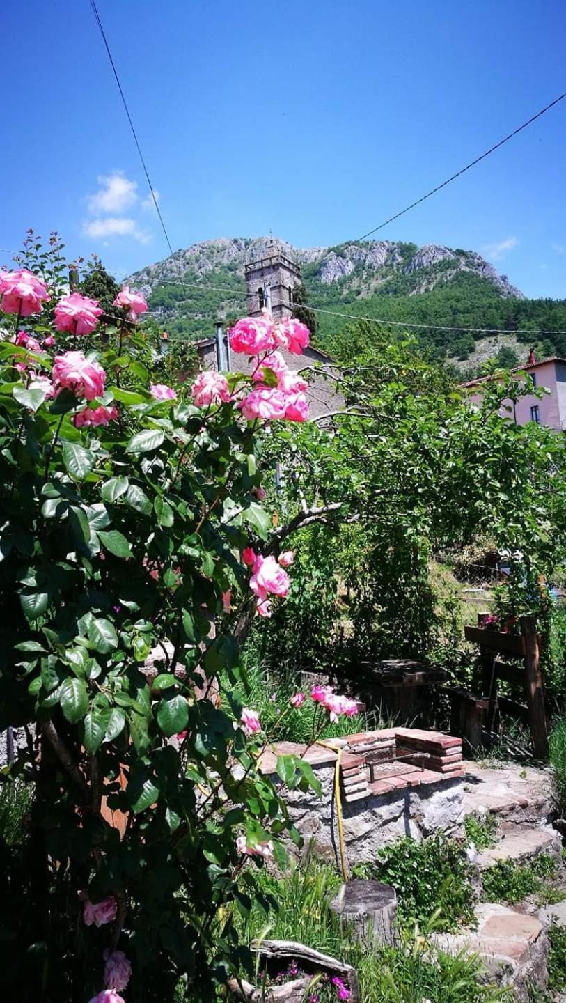 Agriturismo dal nonno Merico