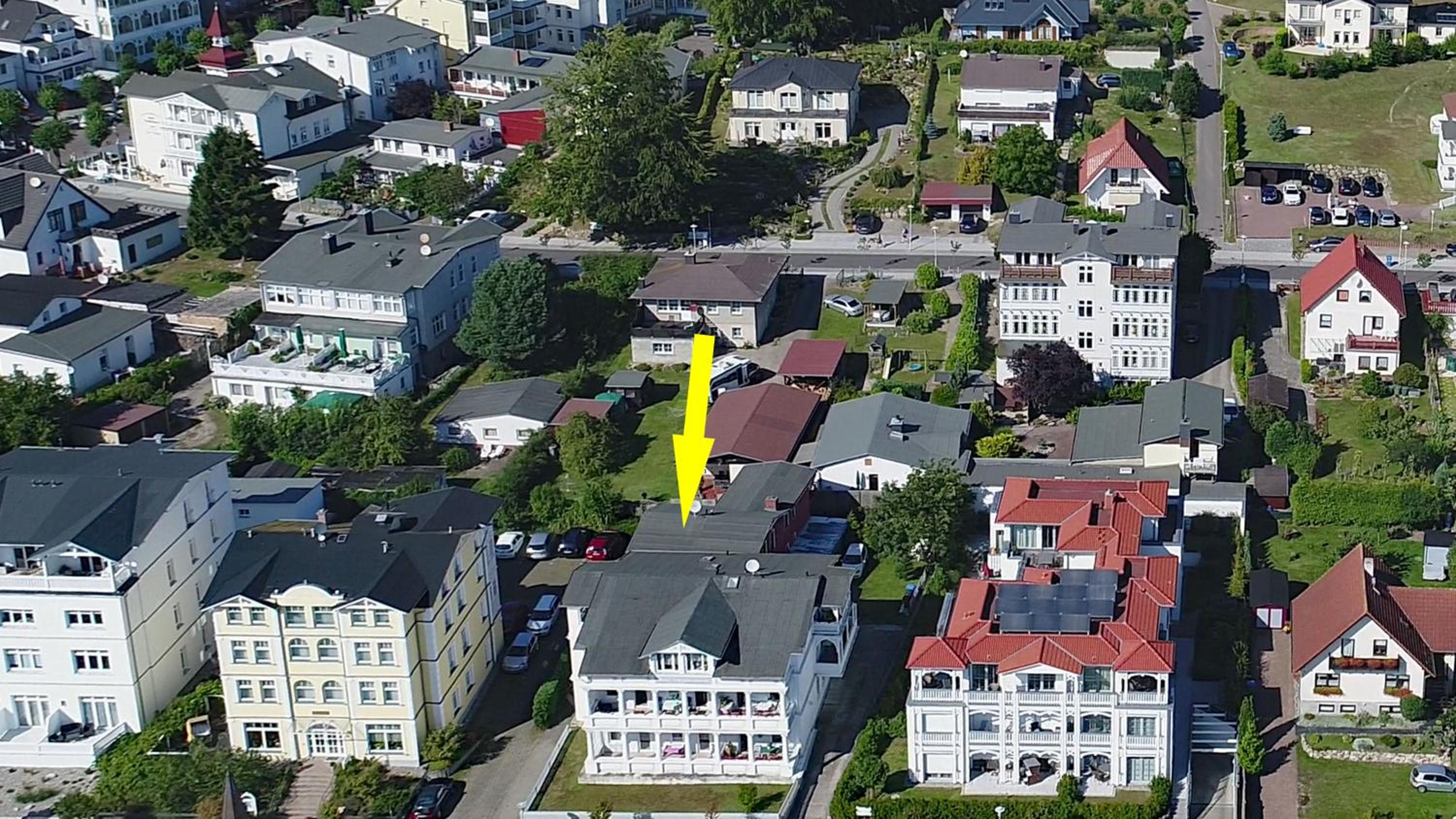 Vergissmeinnicht Studio 2