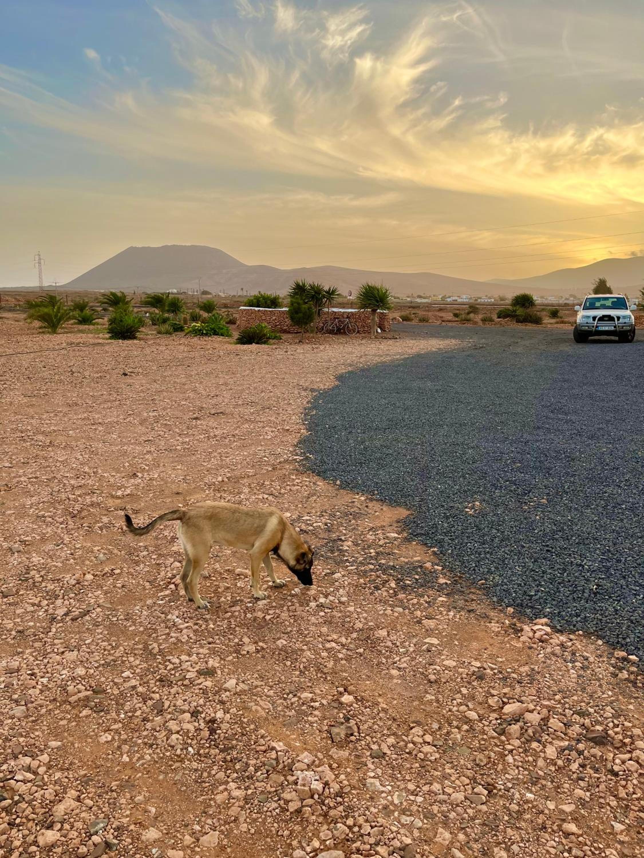 Tranquila casa rural en el centro de Fuerteventura