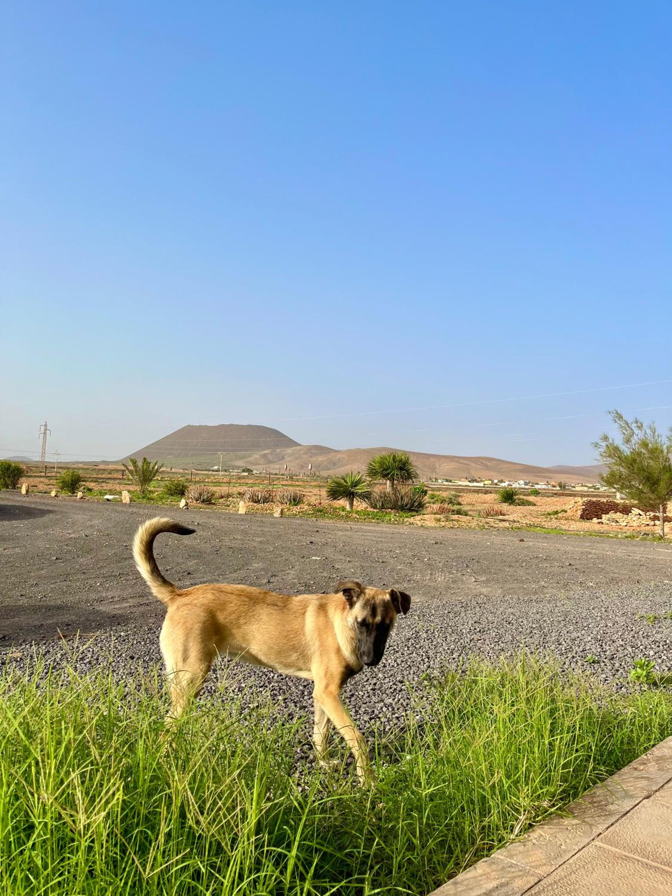 Tranquila casa rural en el centro de Fuerteventura