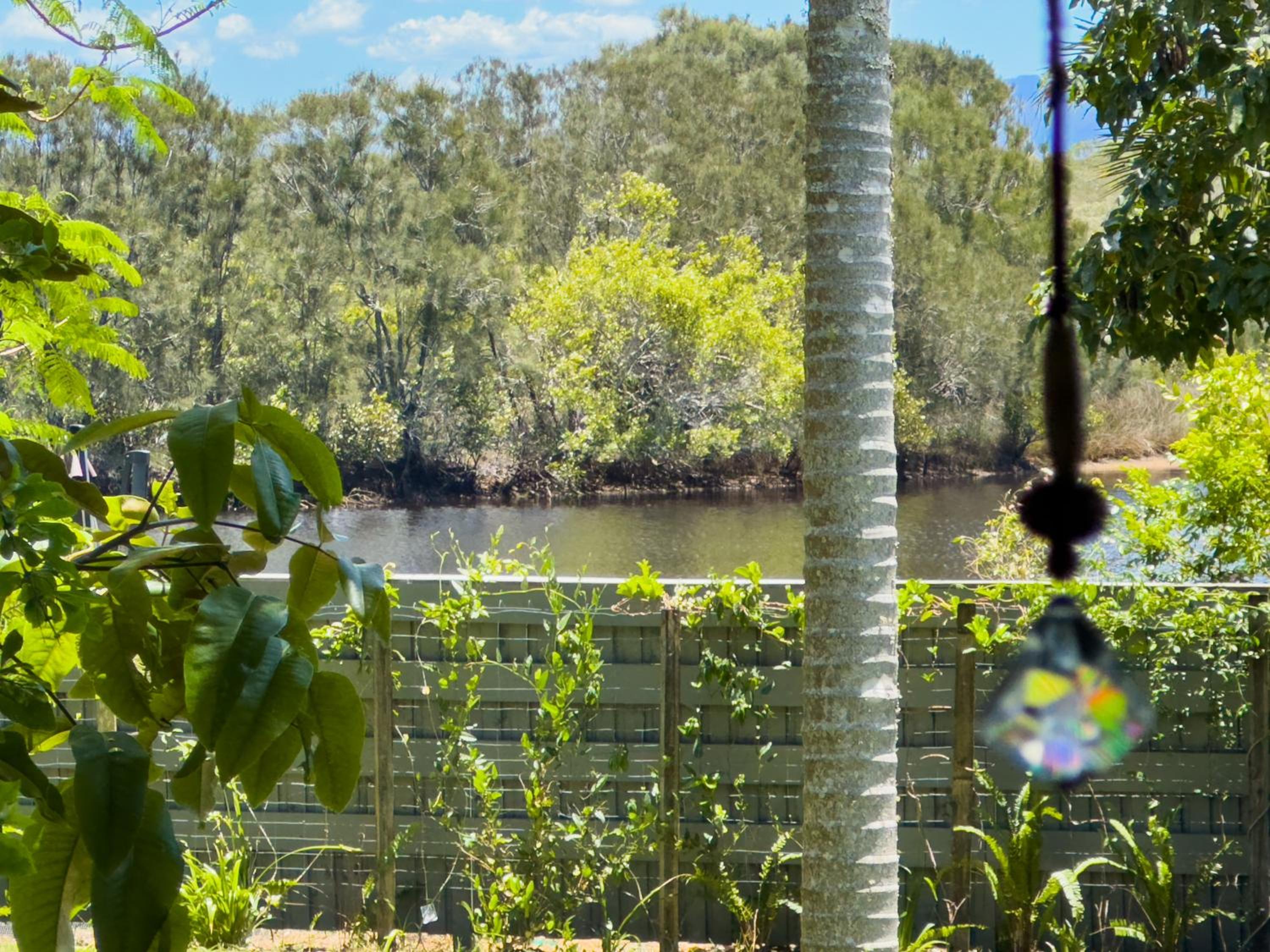 Dreamtime Belongil - house opposite the beach
