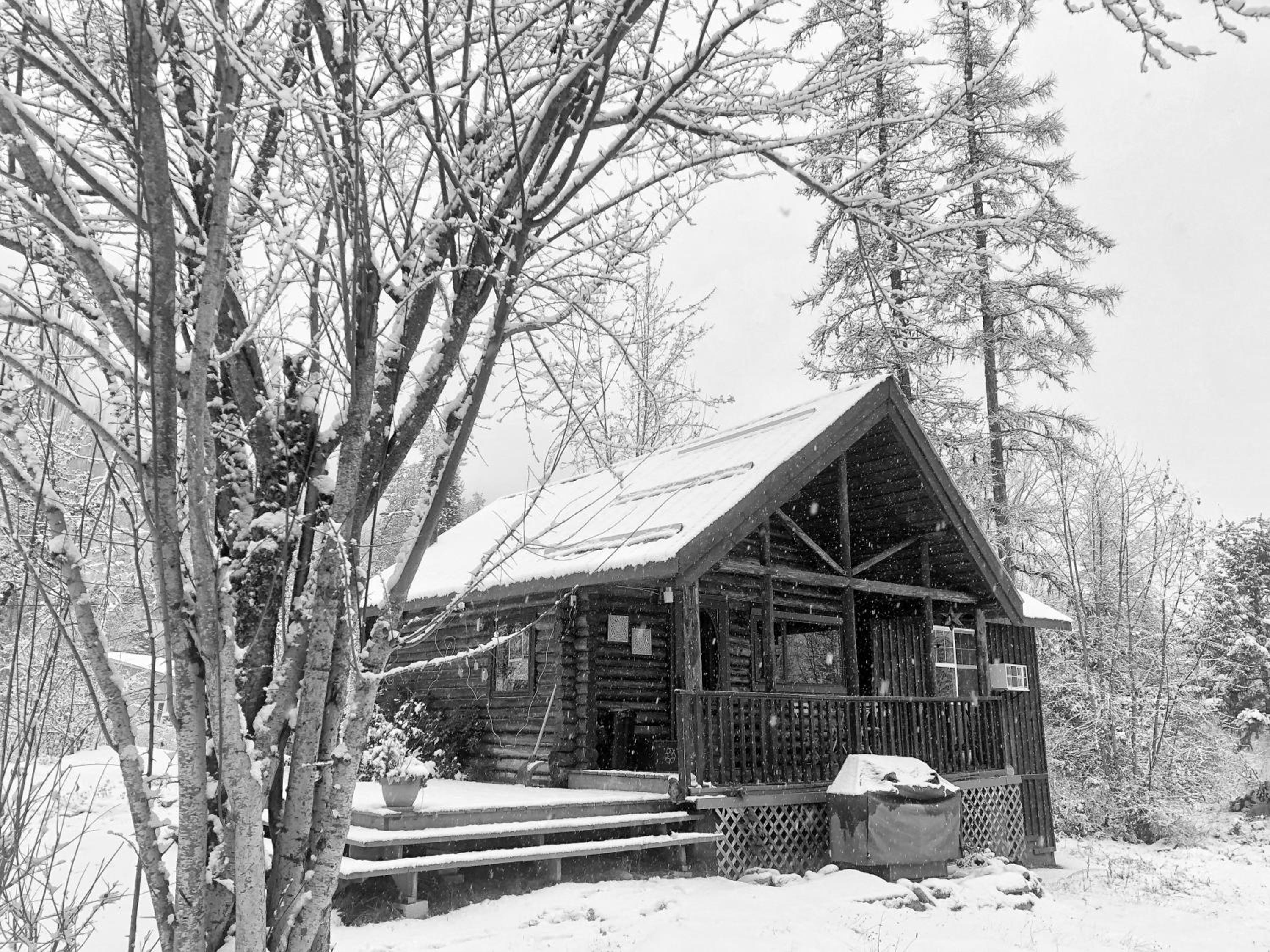 Morning Star Cabin