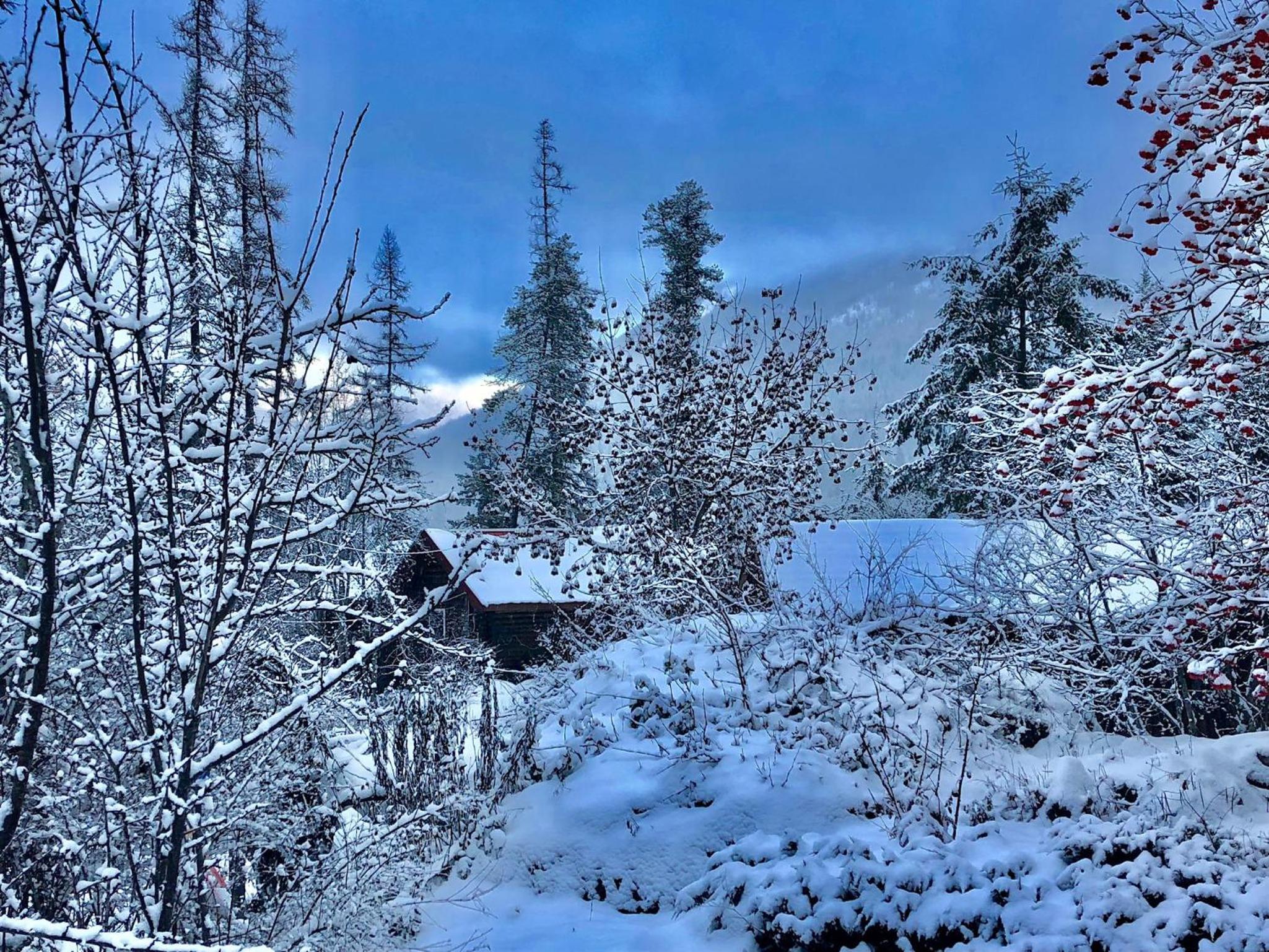 Morning Star Cabin