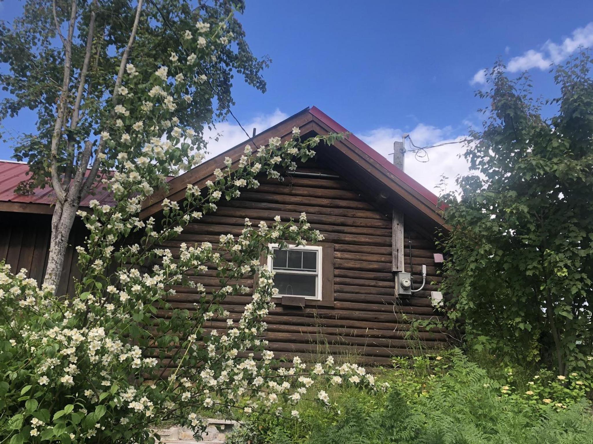 Morning Star Cabin