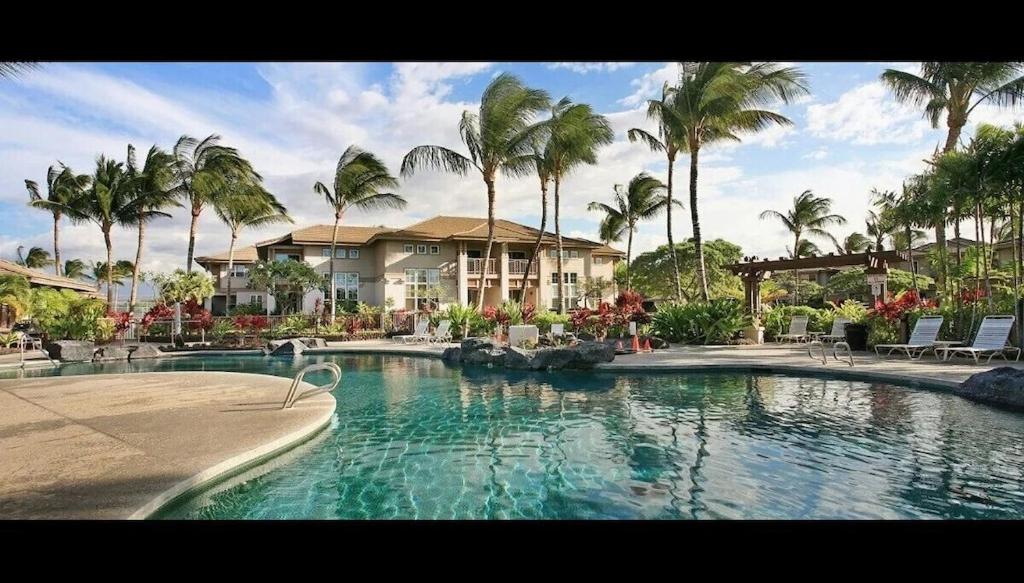 Summer Special! Hilton Pool Pass included! view 4