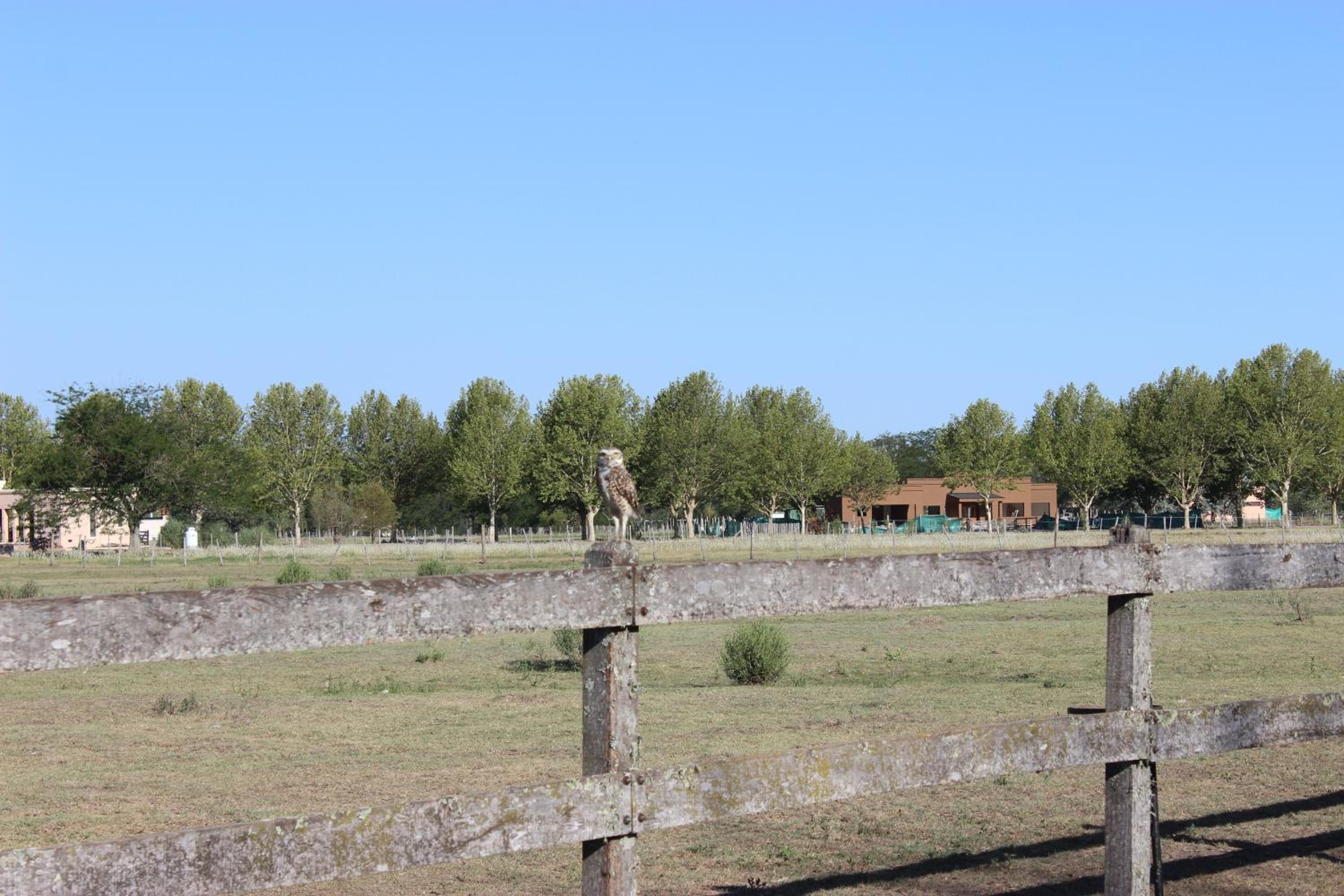 Chacra Las Lilas Casa de campo Farm House Lujan Buenos Aires