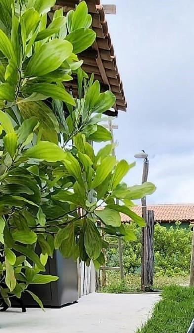 Casa Verde Caraíva