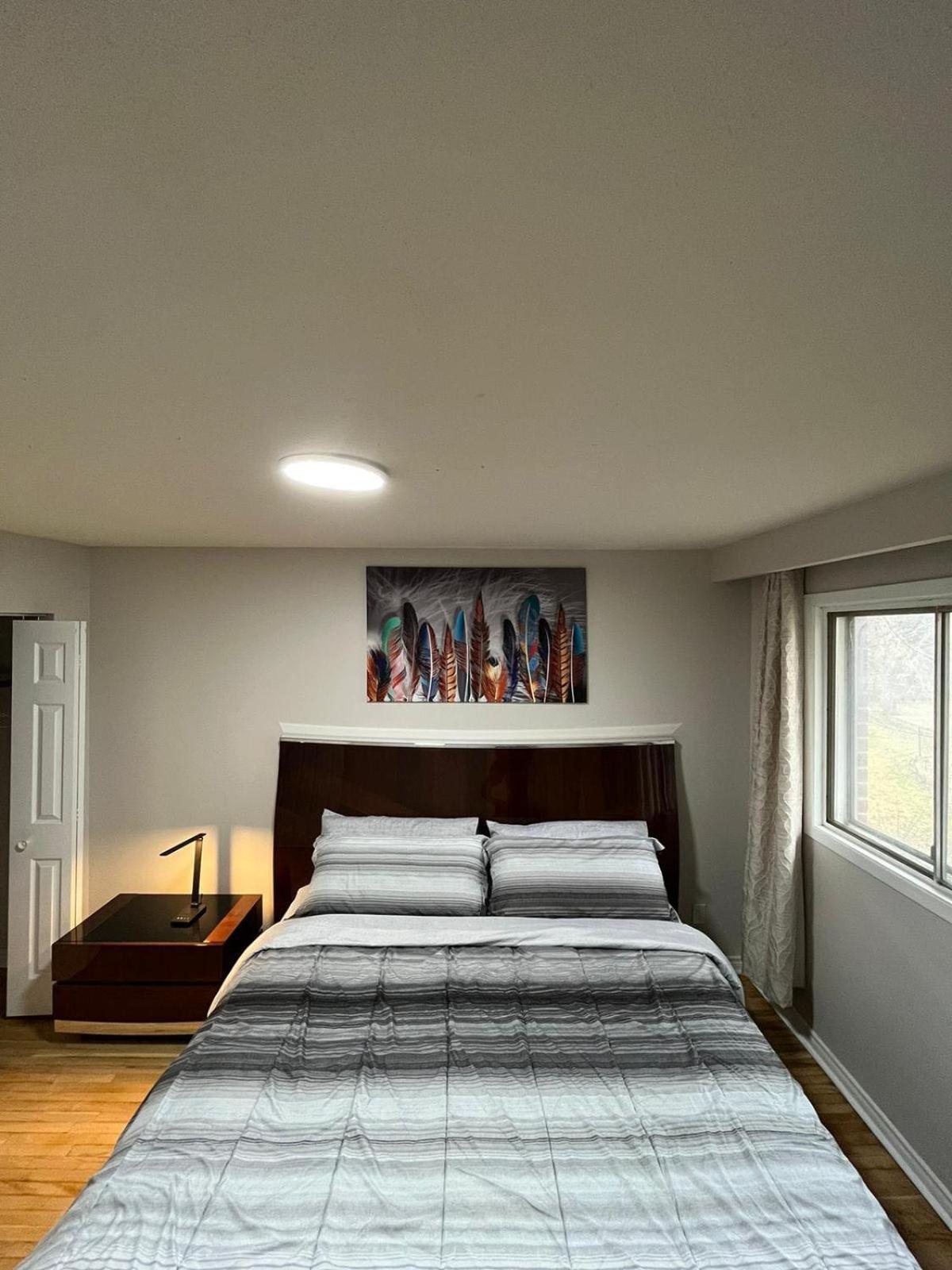 Full Privacy House with Free Parkrings
