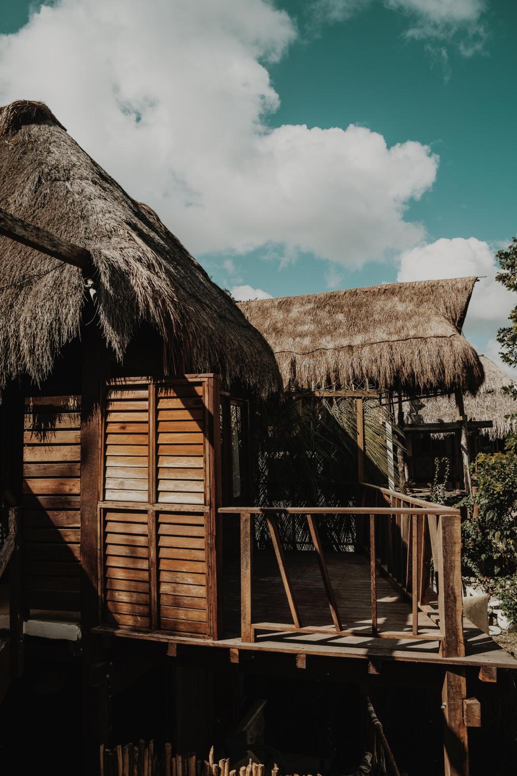 Photo 100