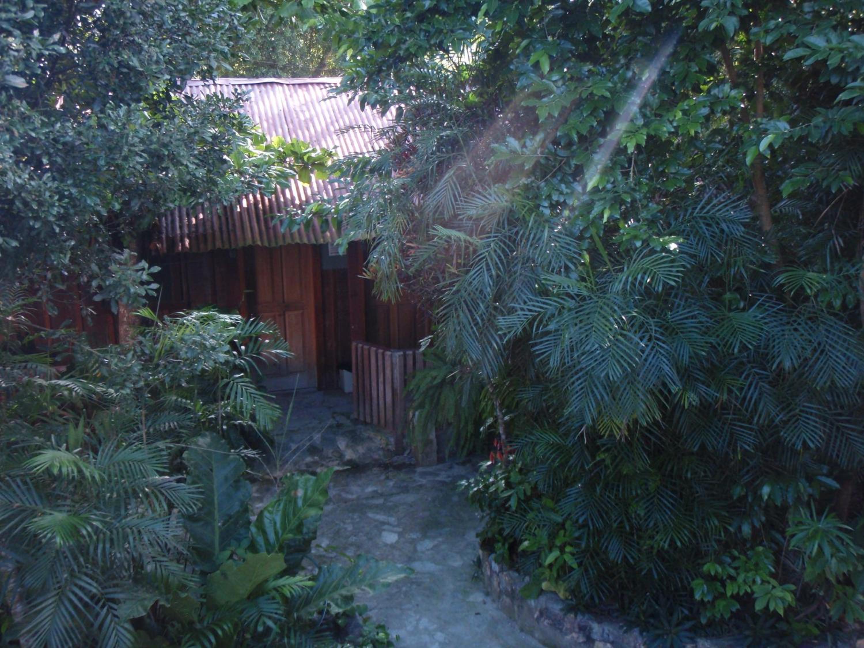 Photo 23