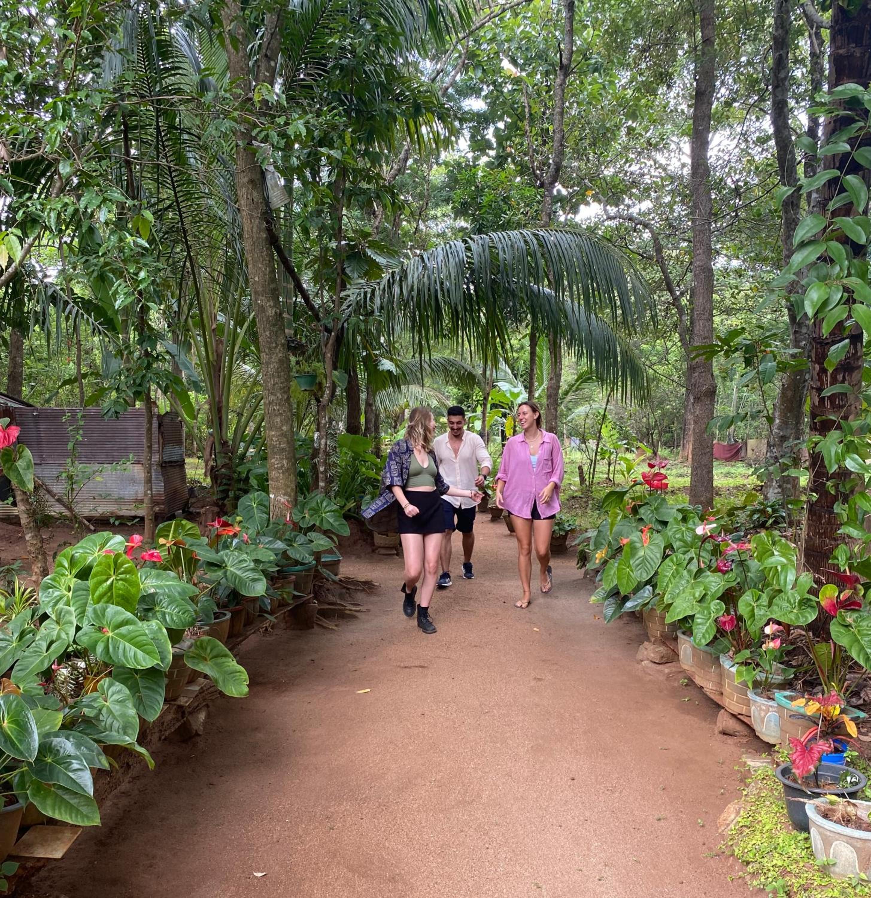 Ruk Sewana Villa Tree House view 2