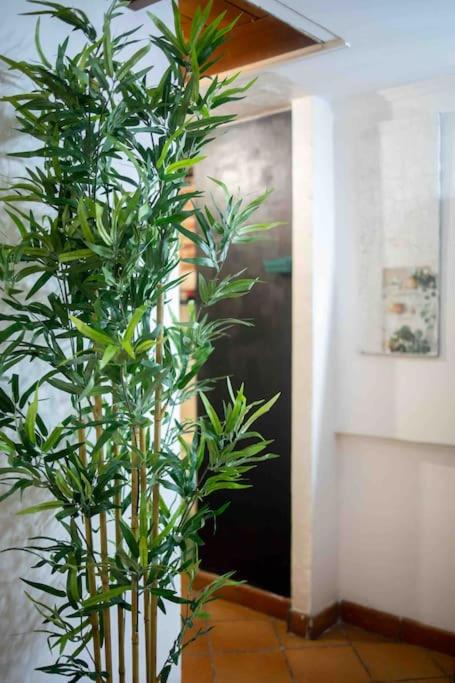 Via dei Cestari loft