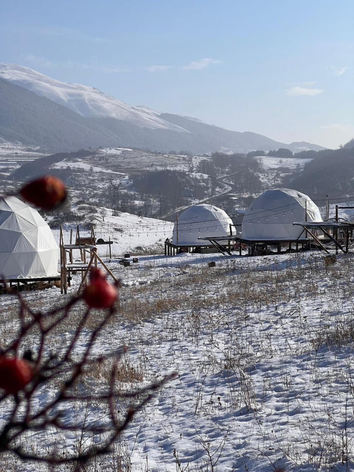 Glamping Park