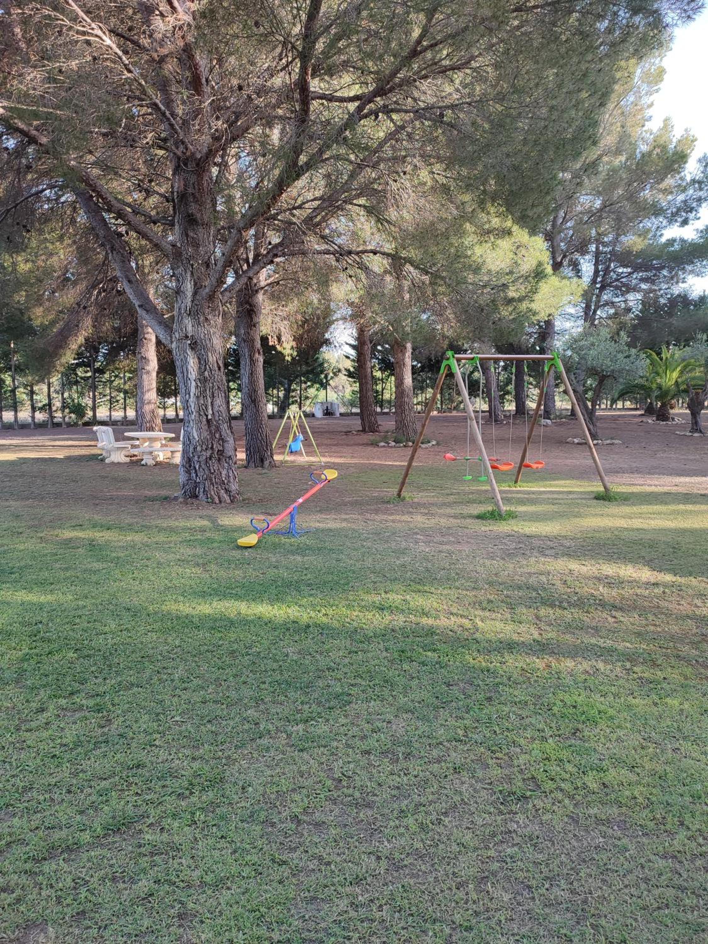 Photo 31