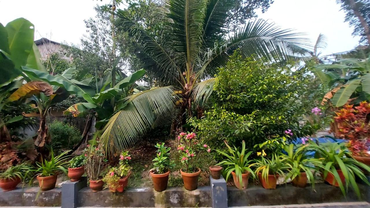 Grand marari view 5